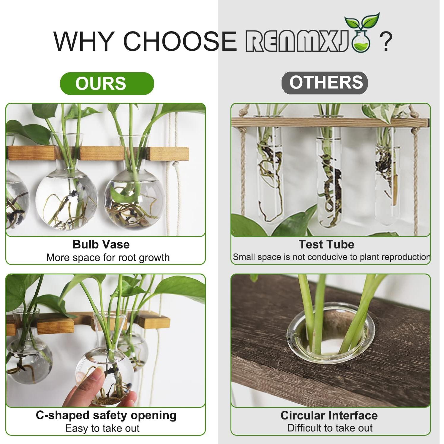 Estación de Propagación de Plantas Hidropónicas RENMXJ - 6 Jarrones de Vidrio