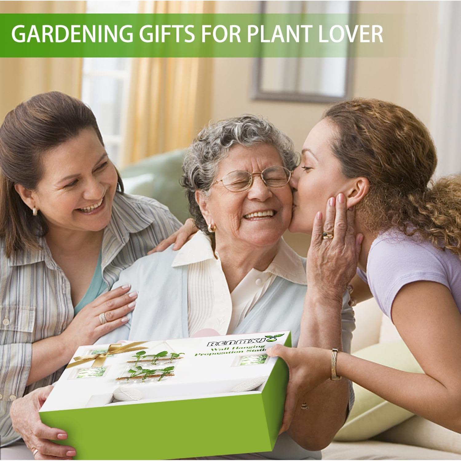 Estación de Propagación de Plantas Hidropónicas RENMXJ - 6 Jarrones de Vidrio