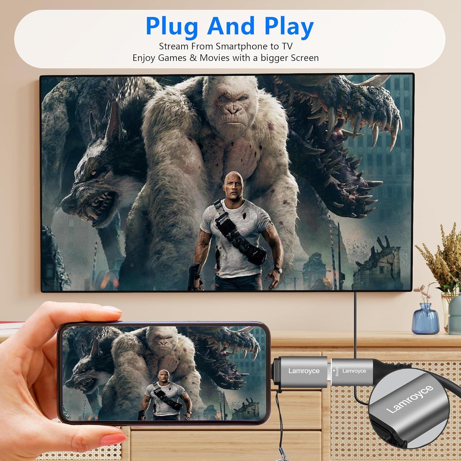 Adaptador USB C a DisplayPort 8K Lamroyce - 190g, 1 Paquete