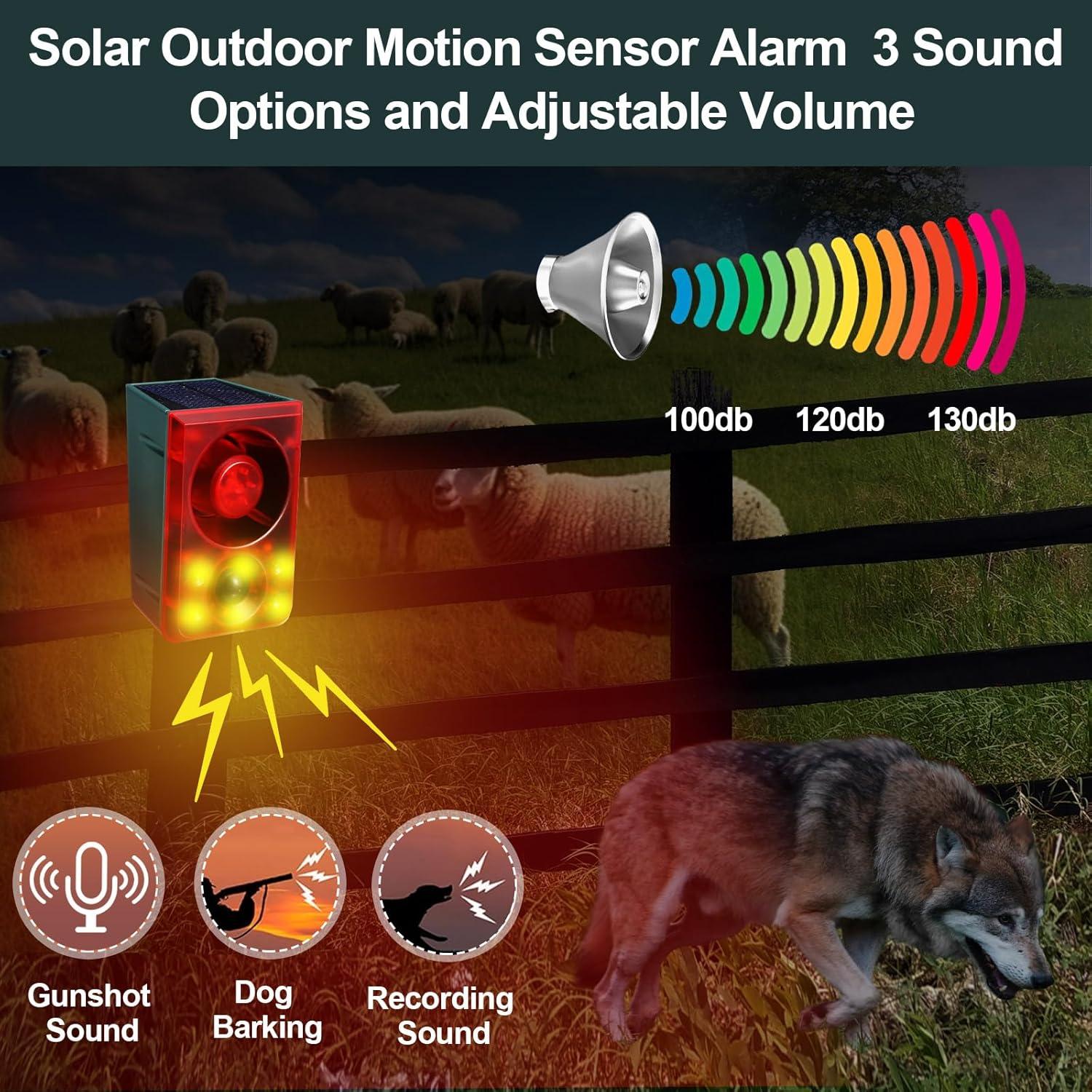 Alarmas de Movimiento Solar Qualirey 2 Pcs con Control Remoto