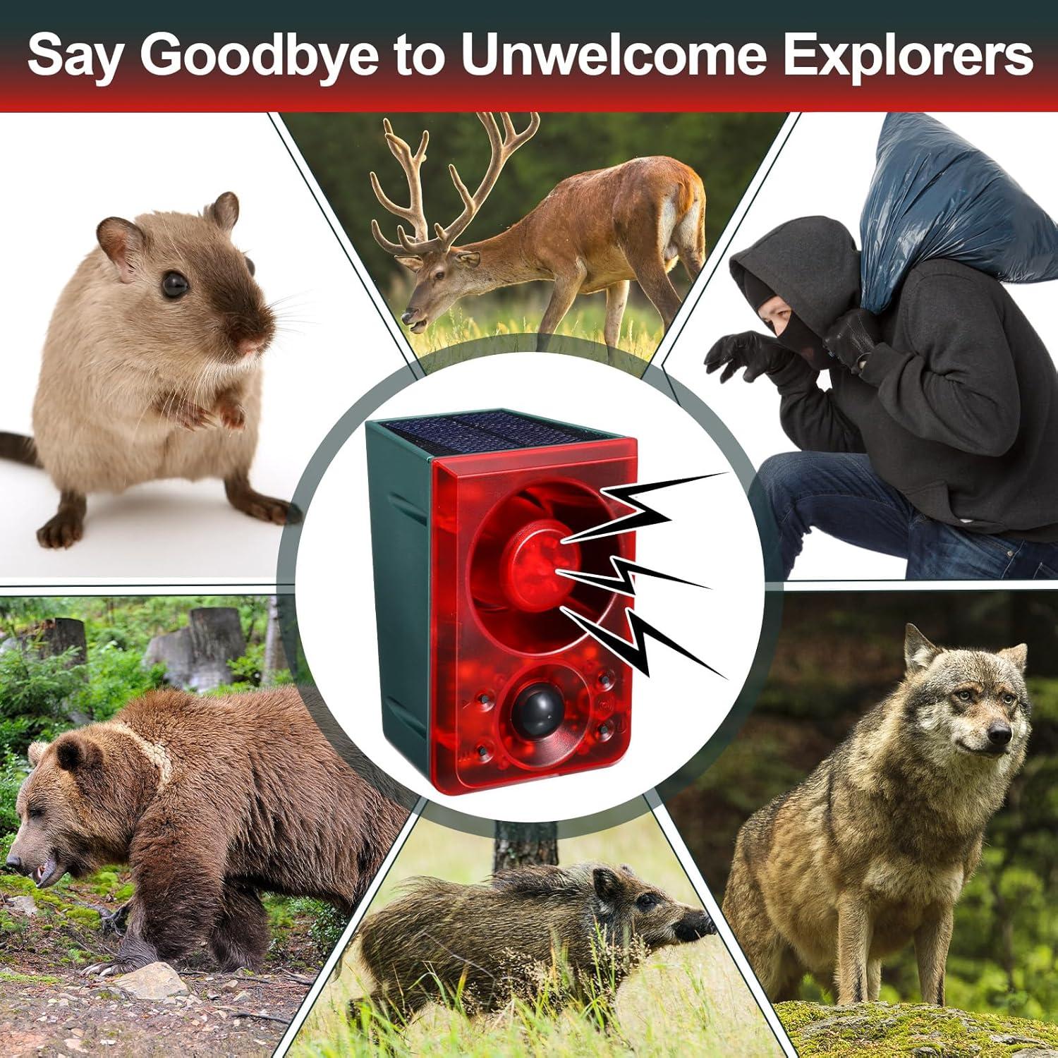 Alarmas de Movimiento Solar Qualirey 2 Pcs con Control Remoto