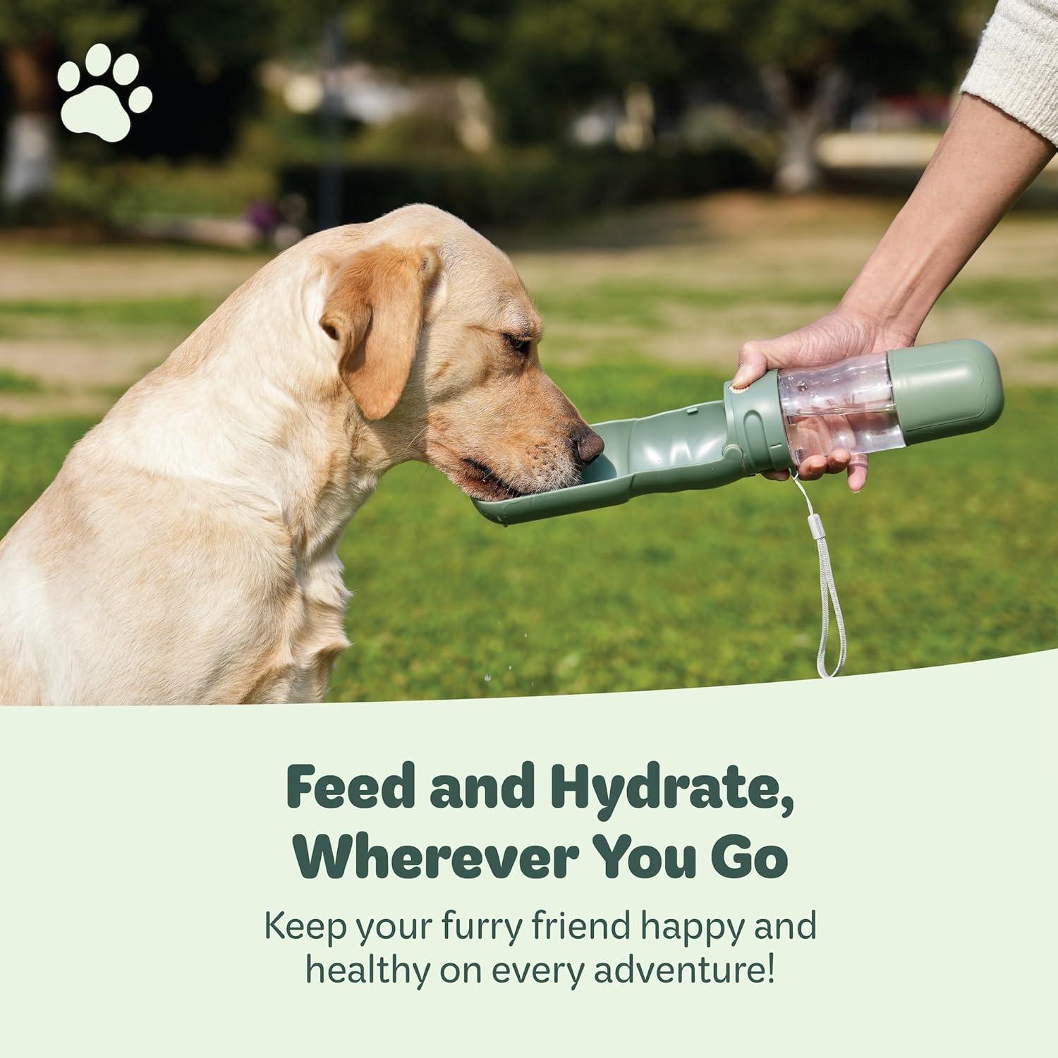 Dispensador de Agua y Comida para Mascotas Desired Tools 368.5ml Verde