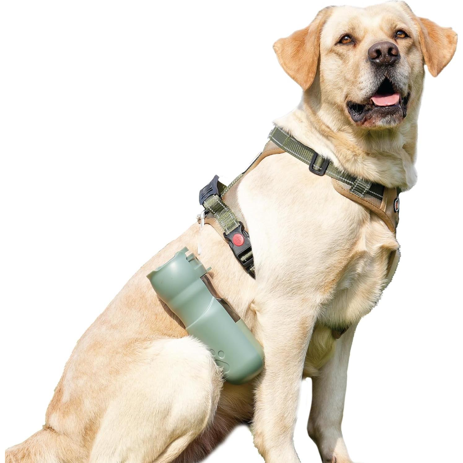 Dispensador de Agua y Comida para Mascotas Desired Tools 368.5ml Verde