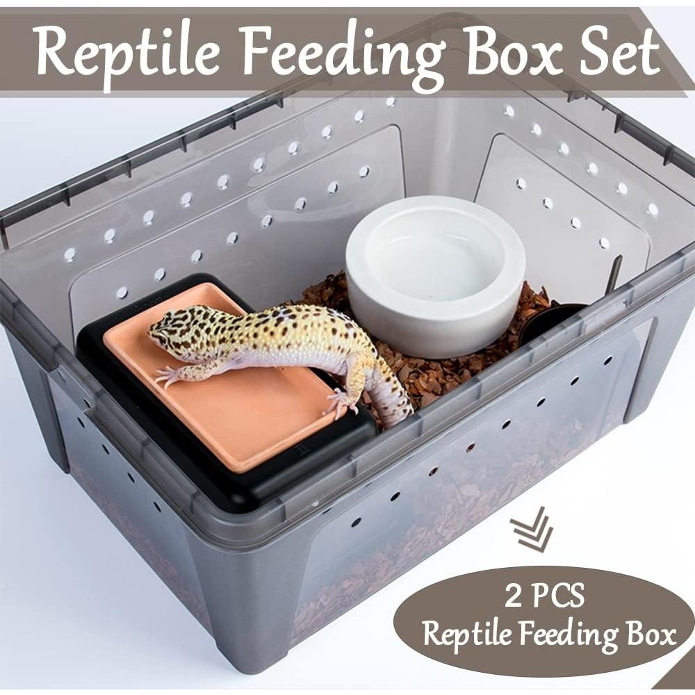 Caja de Alimentación para Reptiles Hamiledyi 2 Piezas 32x22cm
