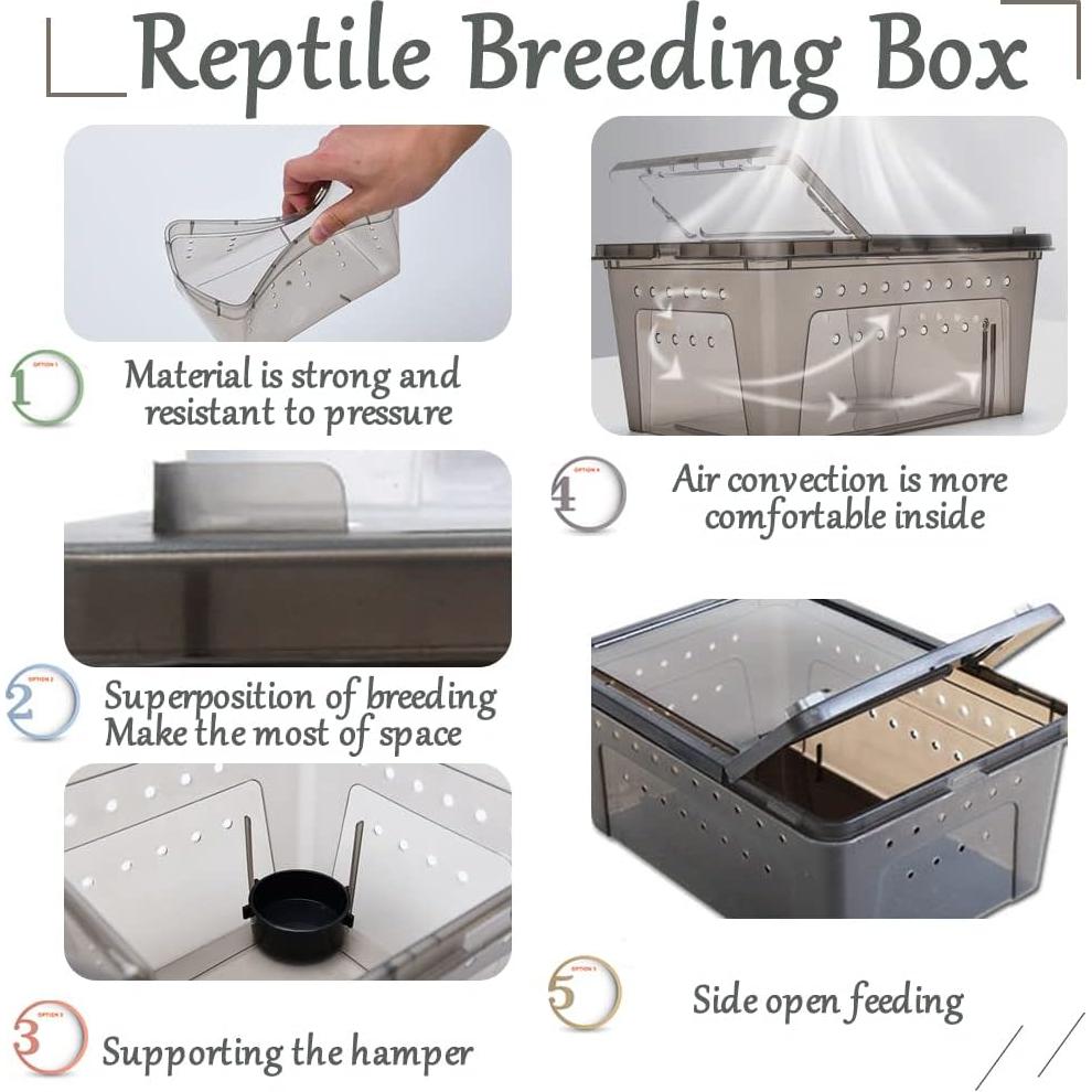 Caja de Alimentación para Reptiles Hamiledyi 2 Piezas 32x22cm