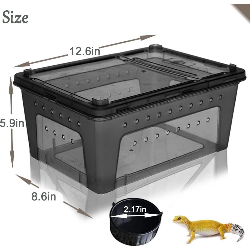Caja de Alimentación para Reptiles Hamiledyi 2 Piezas 32x22cm