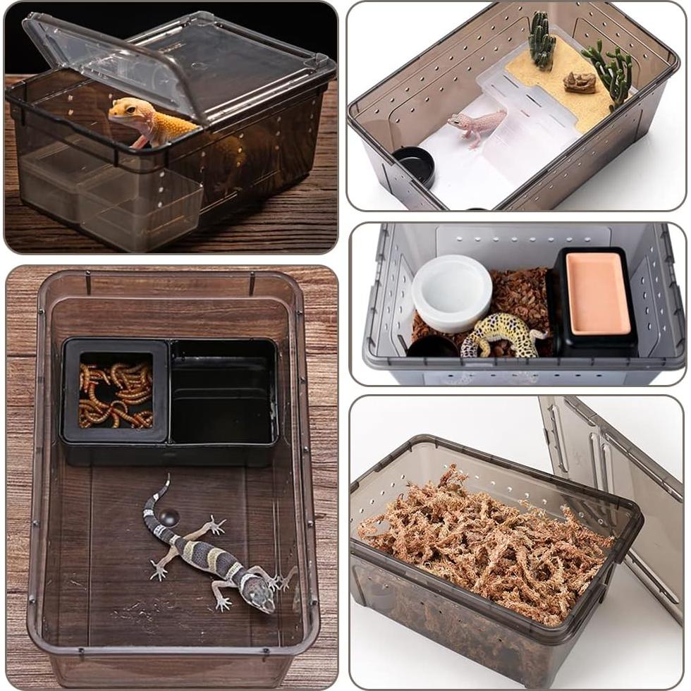 Caja de Alimentación para Reptiles Hamiledyi 2 Piezas 32x22cm