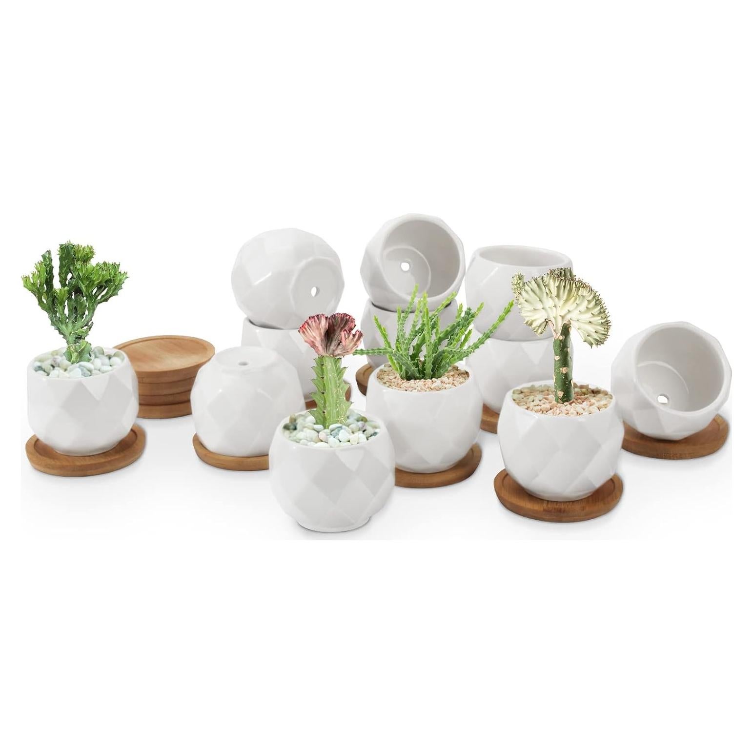 Macetas Suculentas ZOUTOG 12 Piezas Cerámica 6.35 cm