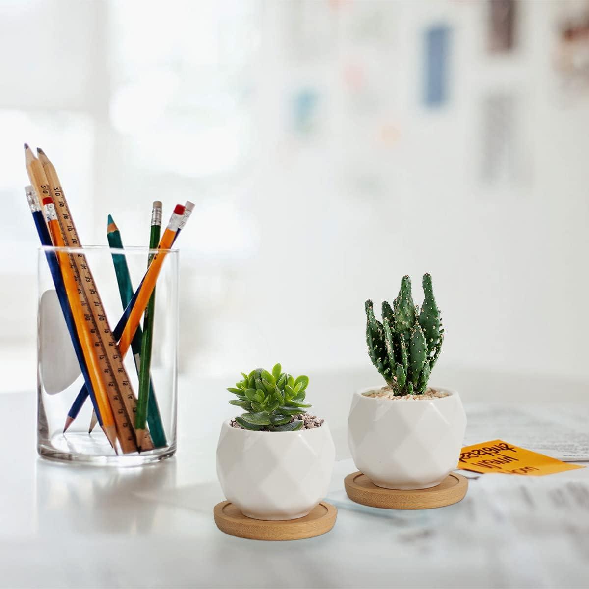 Macetas Suculentas ZOUTOG 12 Piezas Cerámica 6.35 cm