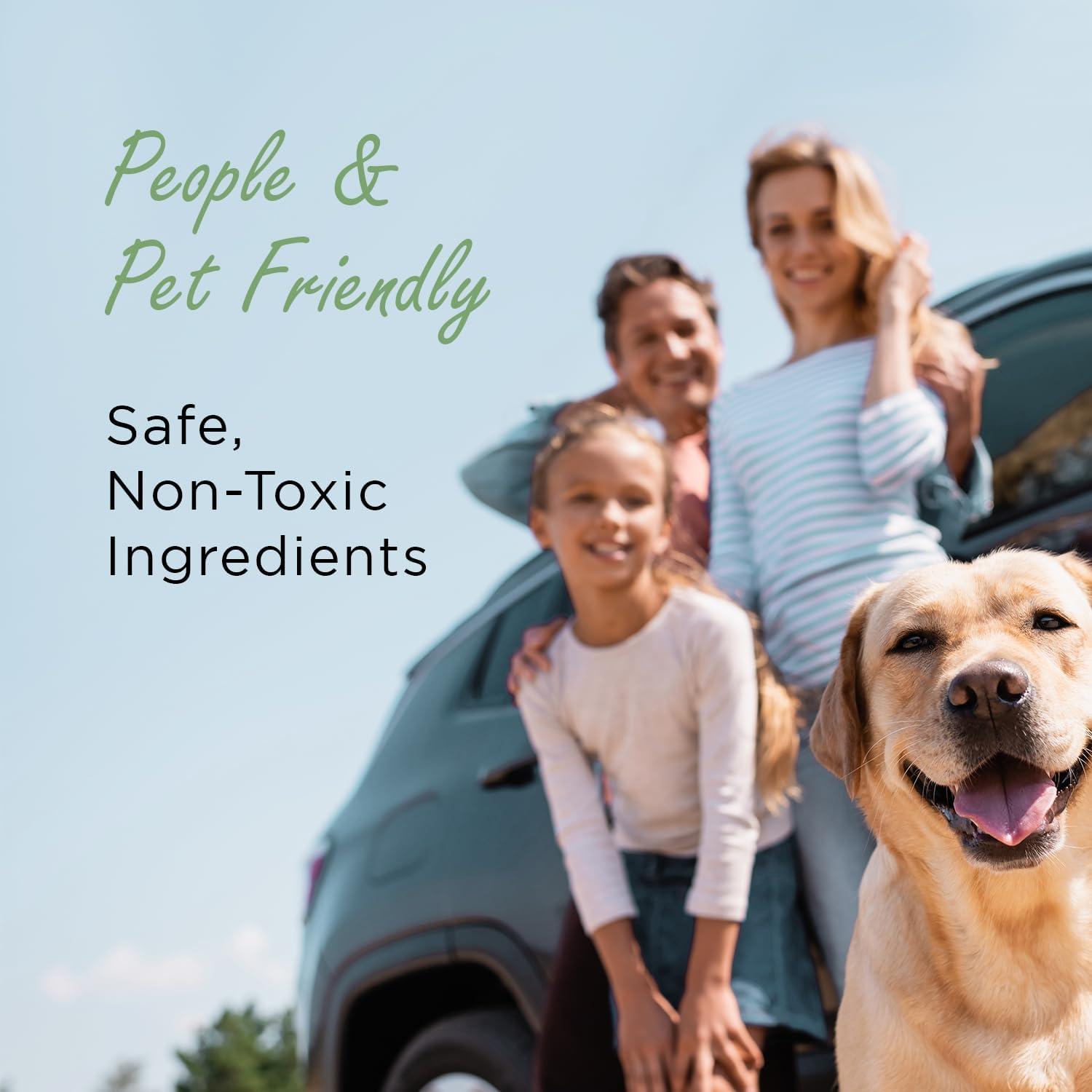 Ambientador Natural para Automóviles Moso | Eliminador de Olores Ecológico