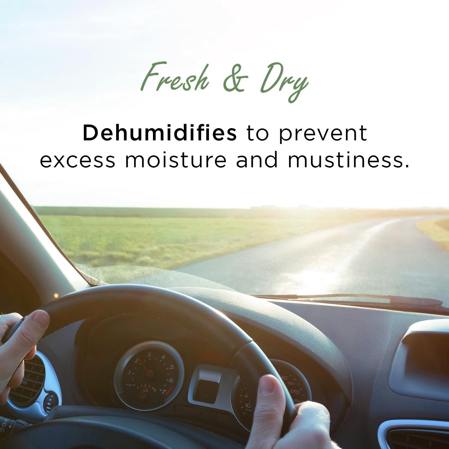 Ambientador Natural para Automóviles Moso | Eliminador de Olores Ecológico