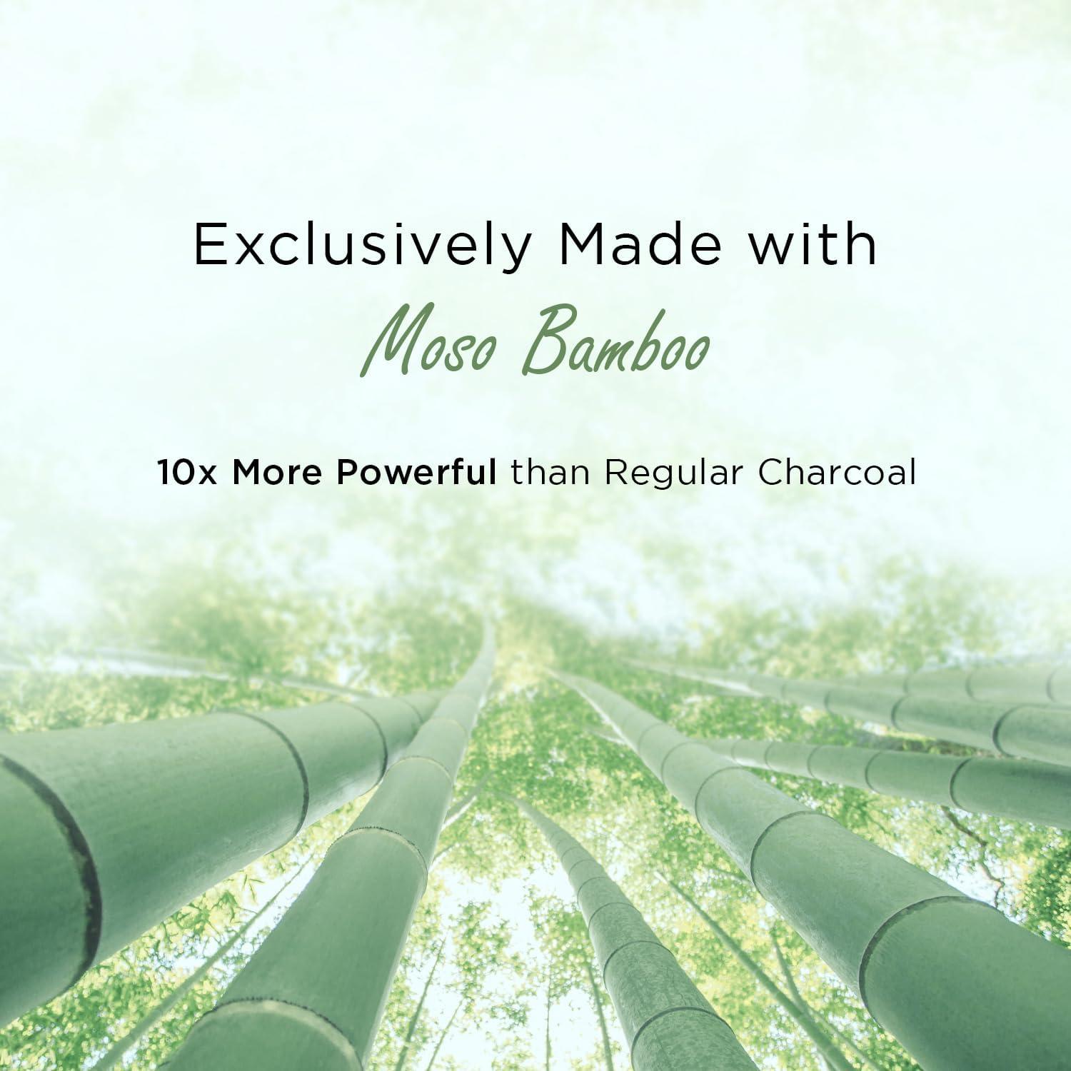 Ambientador Natural para Automóviles Moso | Eliminador de Olores Ecológico