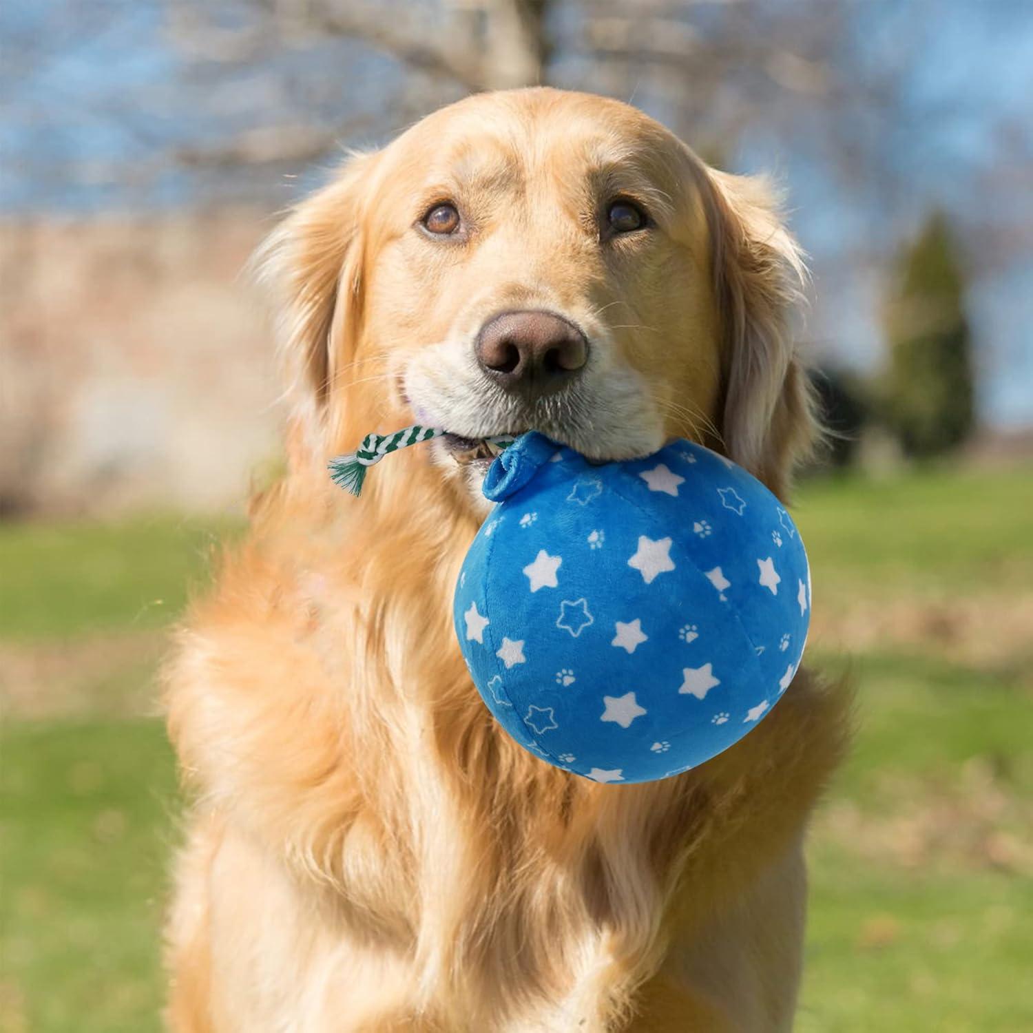 Juguetes de Cumpleaños para Perros Prime Pets - Set de 3