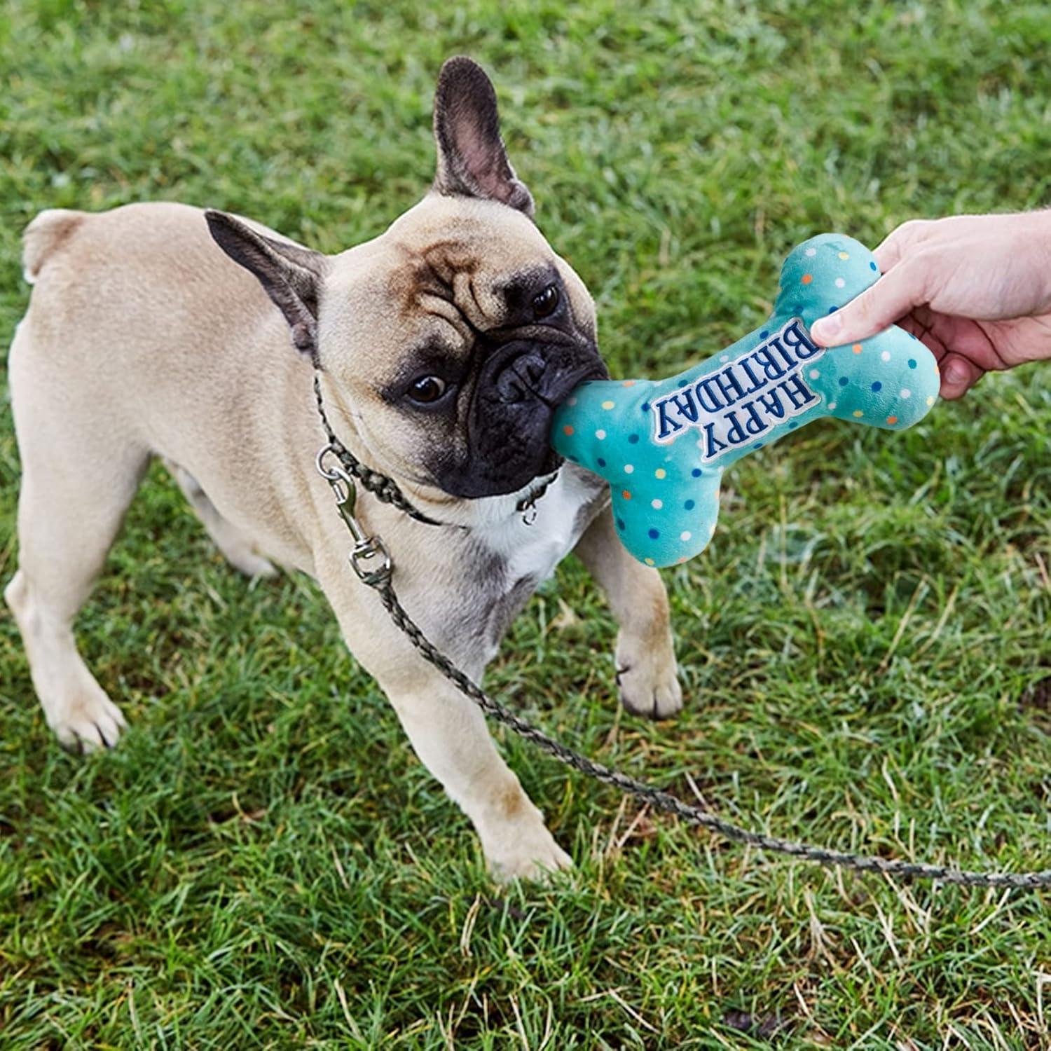 Juguetes de Cumpleaños para Perros Prime Pets - Set de 3