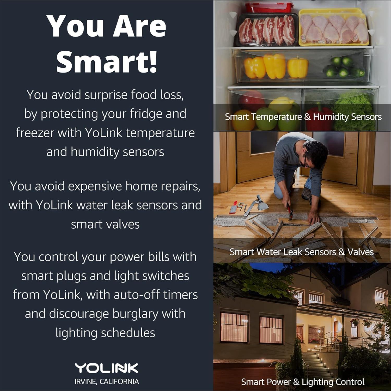 Termostato Inteligente YoLink con Hub, Compatible Bomba de Calor