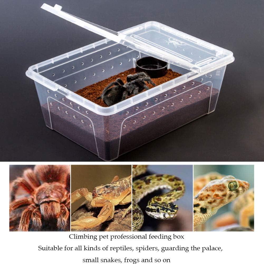 Caja de Alimentación para Reptiles Hamiledyi 32x21.8cm