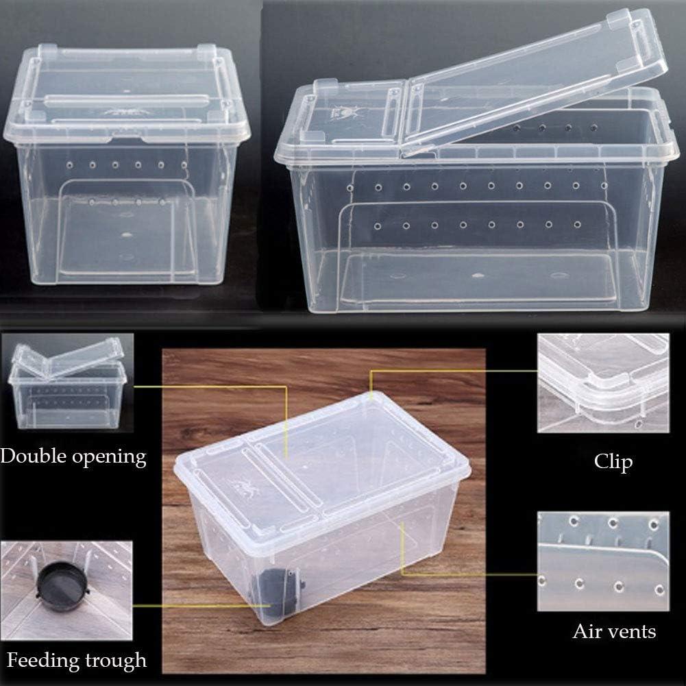 Caja de Alimentación para Reptiles Hamiledyi 32x21.8cm