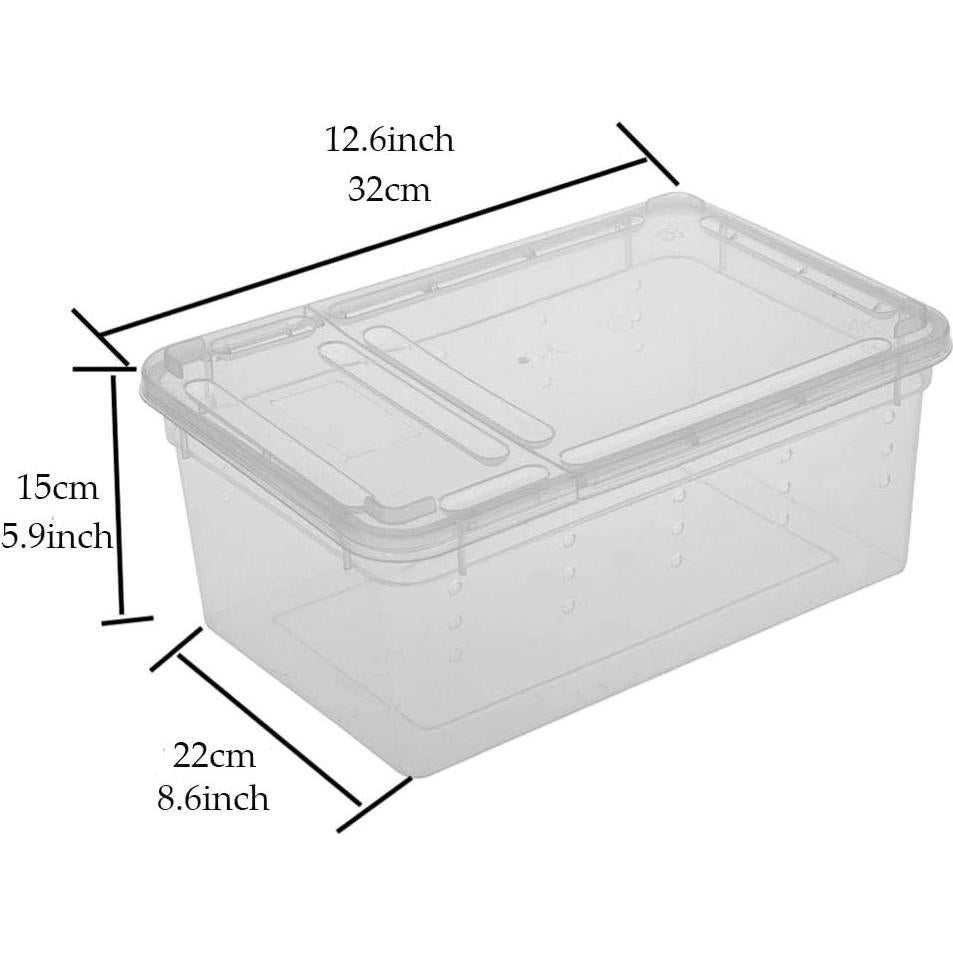 Caja de Alimentación para Reptiles Hamiledyi 32x21.8cm