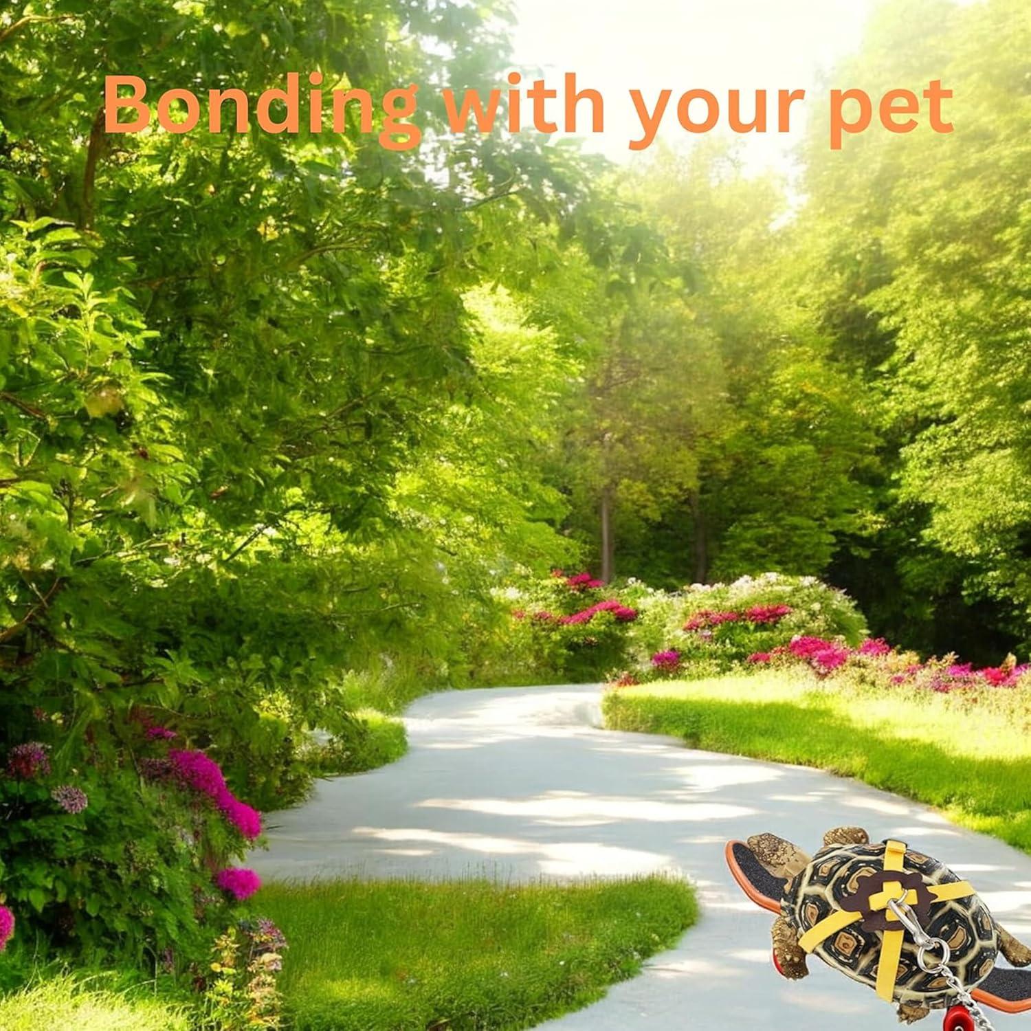 Correa y Patineta para Tortugas PurrrfectionPet Pequeño Rosa