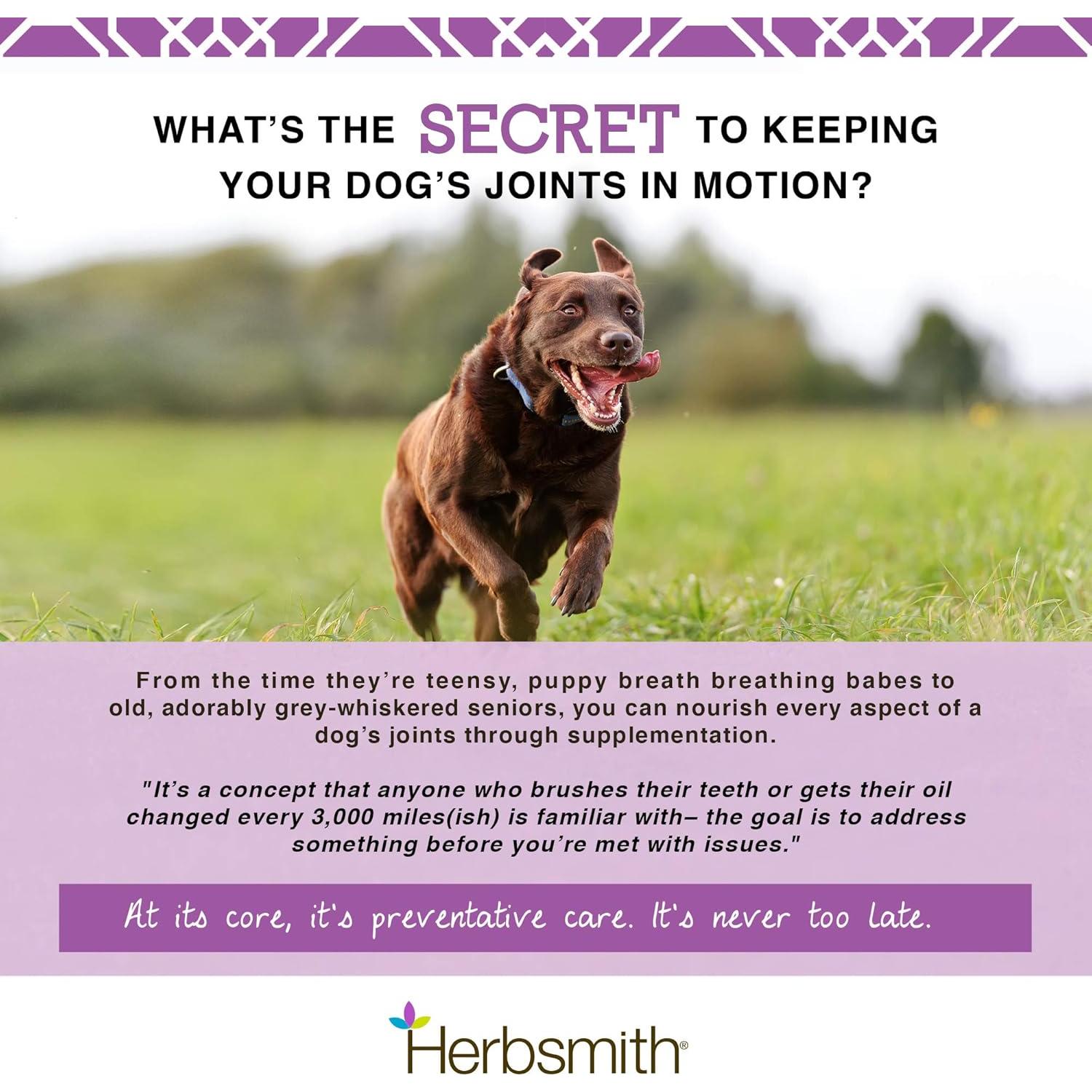 Suplemento Articular Herbsmith Sound Dog Viscosity 60 Masticables