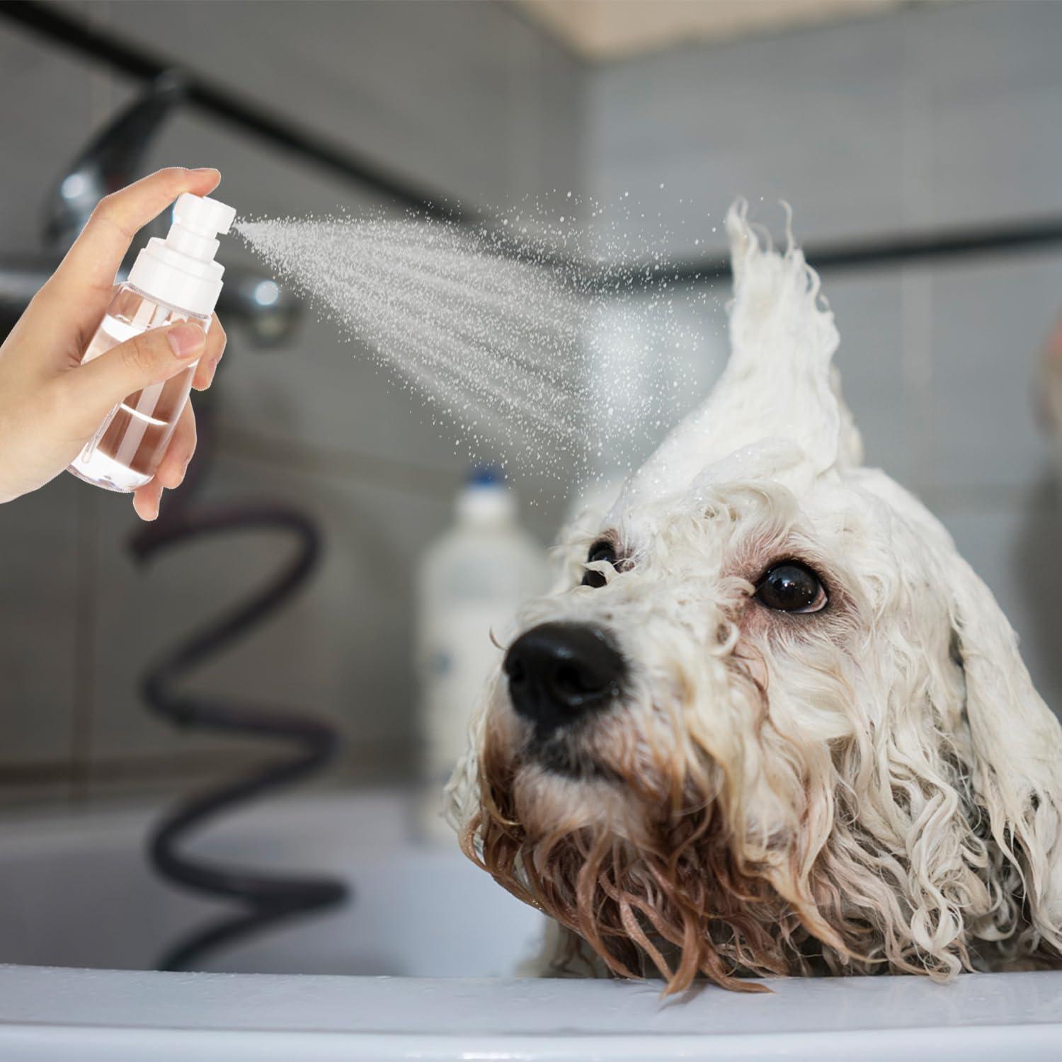 Pack de 3 Botellas de Spray Mini GIVITASOT 30ml Claras