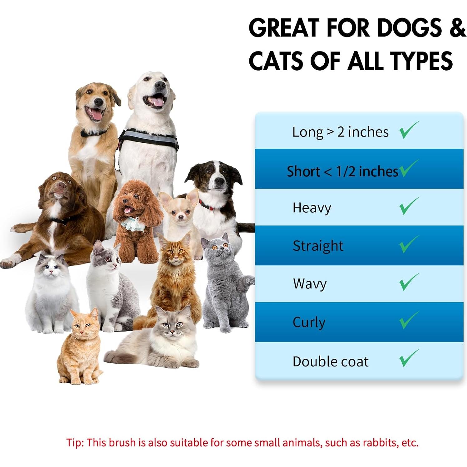 Kit de Cepillo para Perros y Gatos Joy-Pet 3 en 1 Azul