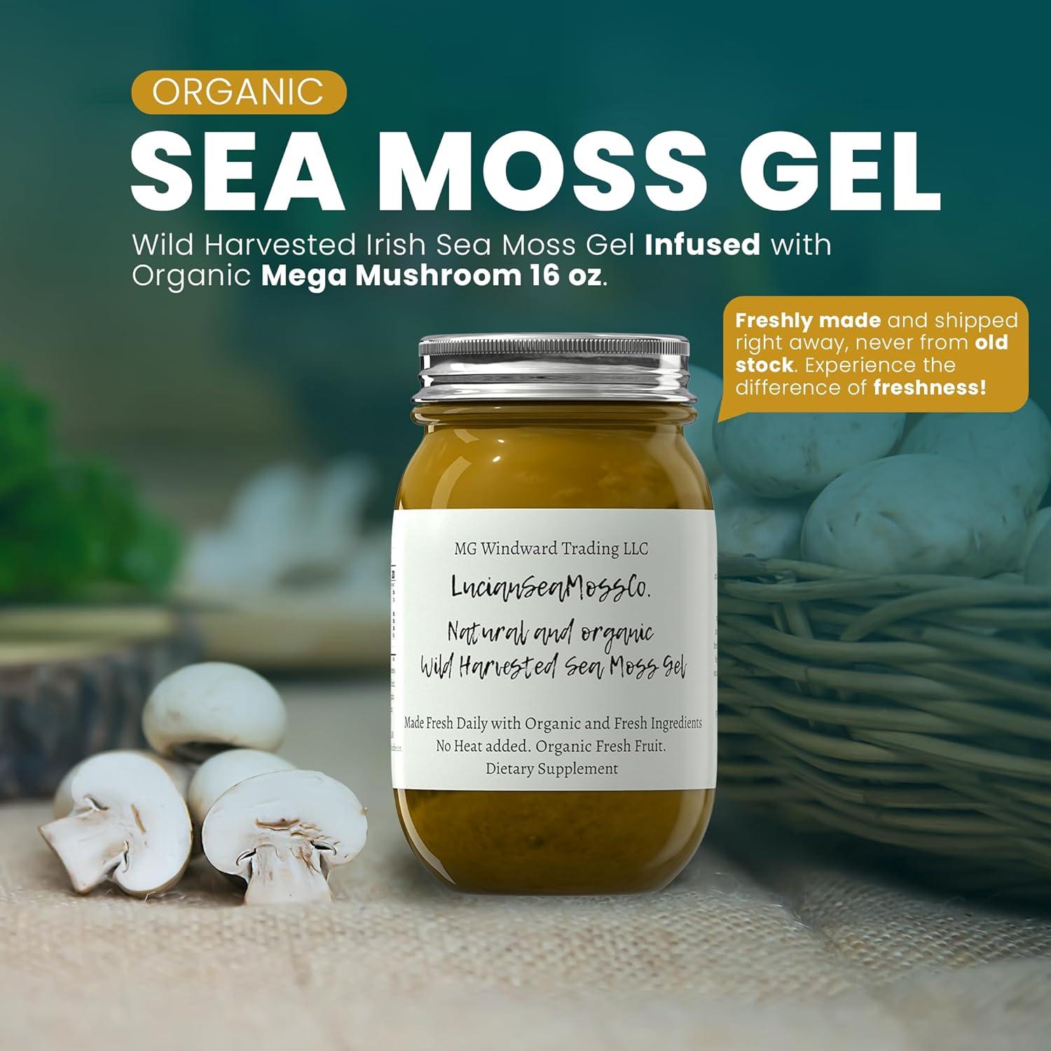 Gel de Musgo Marino Orgánico 450g Melena de León - MG Windward