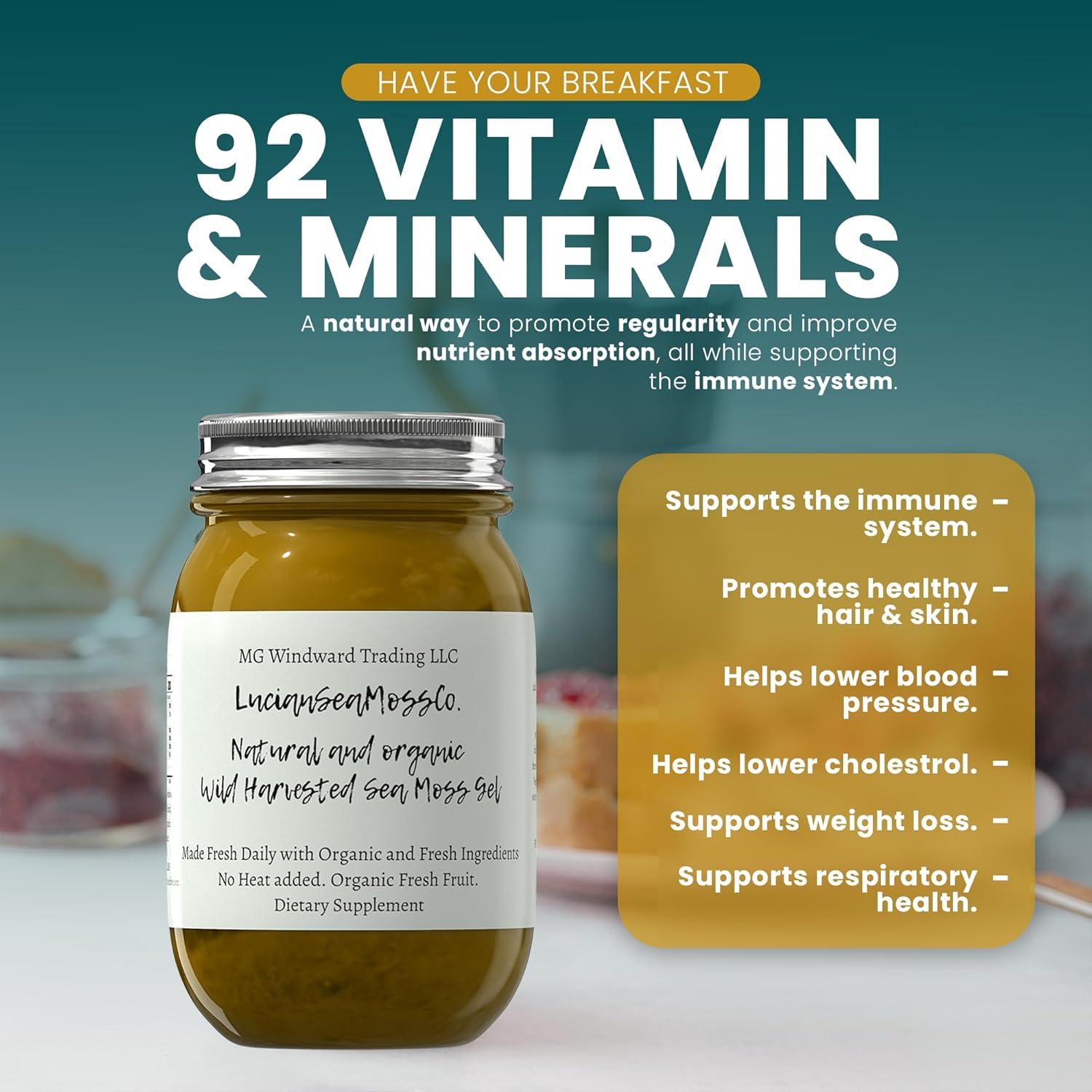 Gel de Musgo Marino Orgánico 450g Melena de León - MG Windward