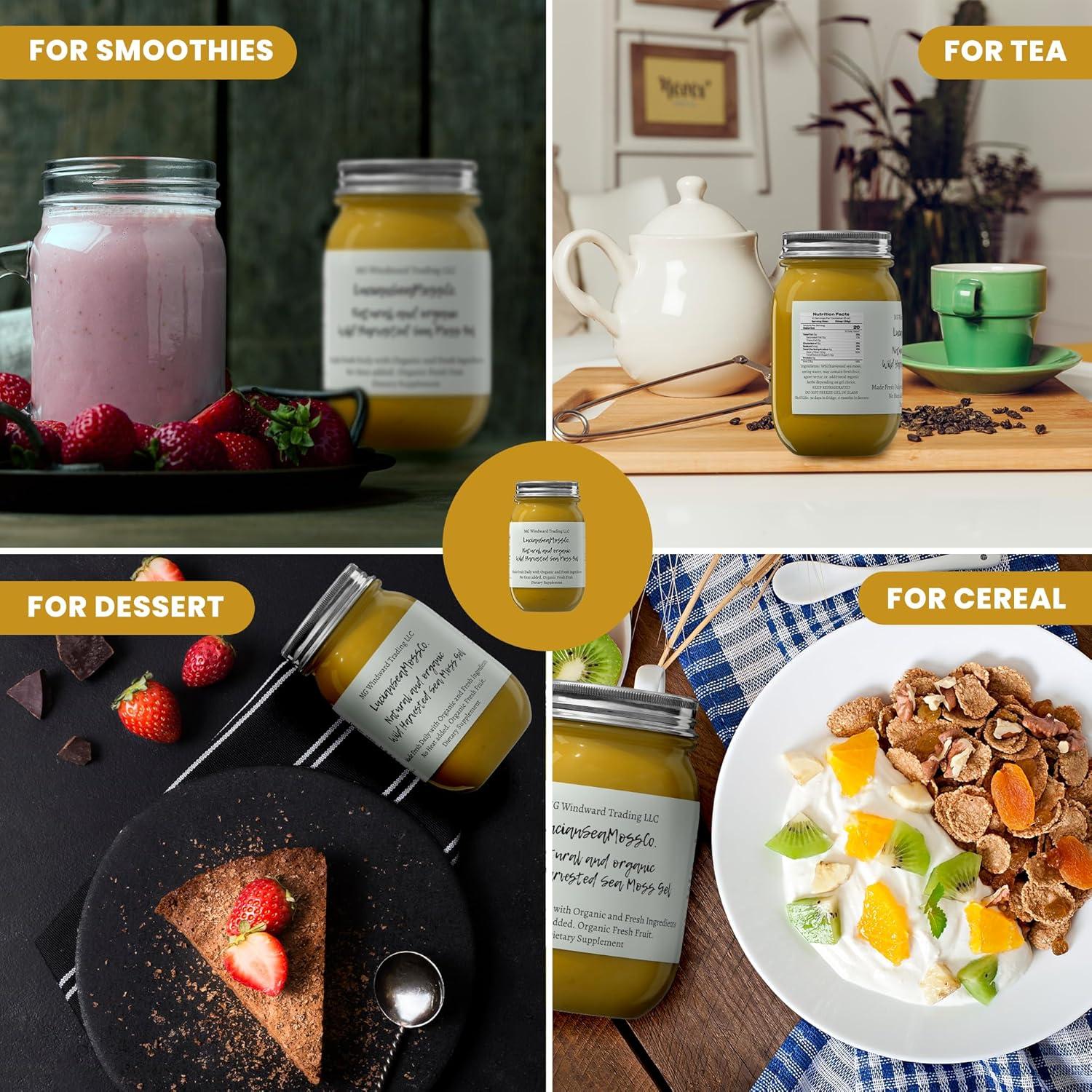 Gel de Musgo Marino Orgánico 450g Melena de León - MG Windward