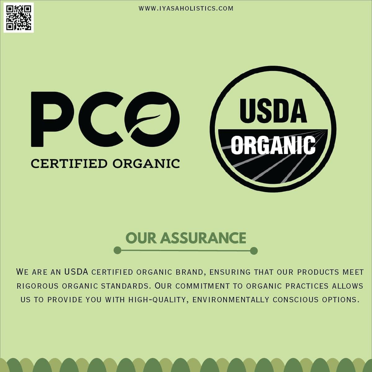 Polvo de Moringa Orgánica Iyasa 113g - Superalimento Natural