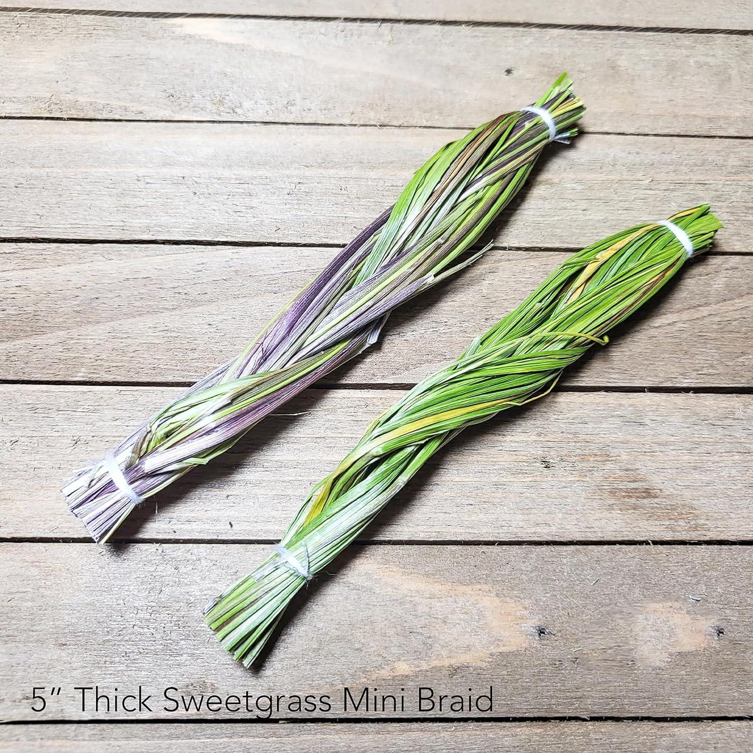 Trenza de Hierba Dulce Hecha a Mano - Calidad Media 10 cm