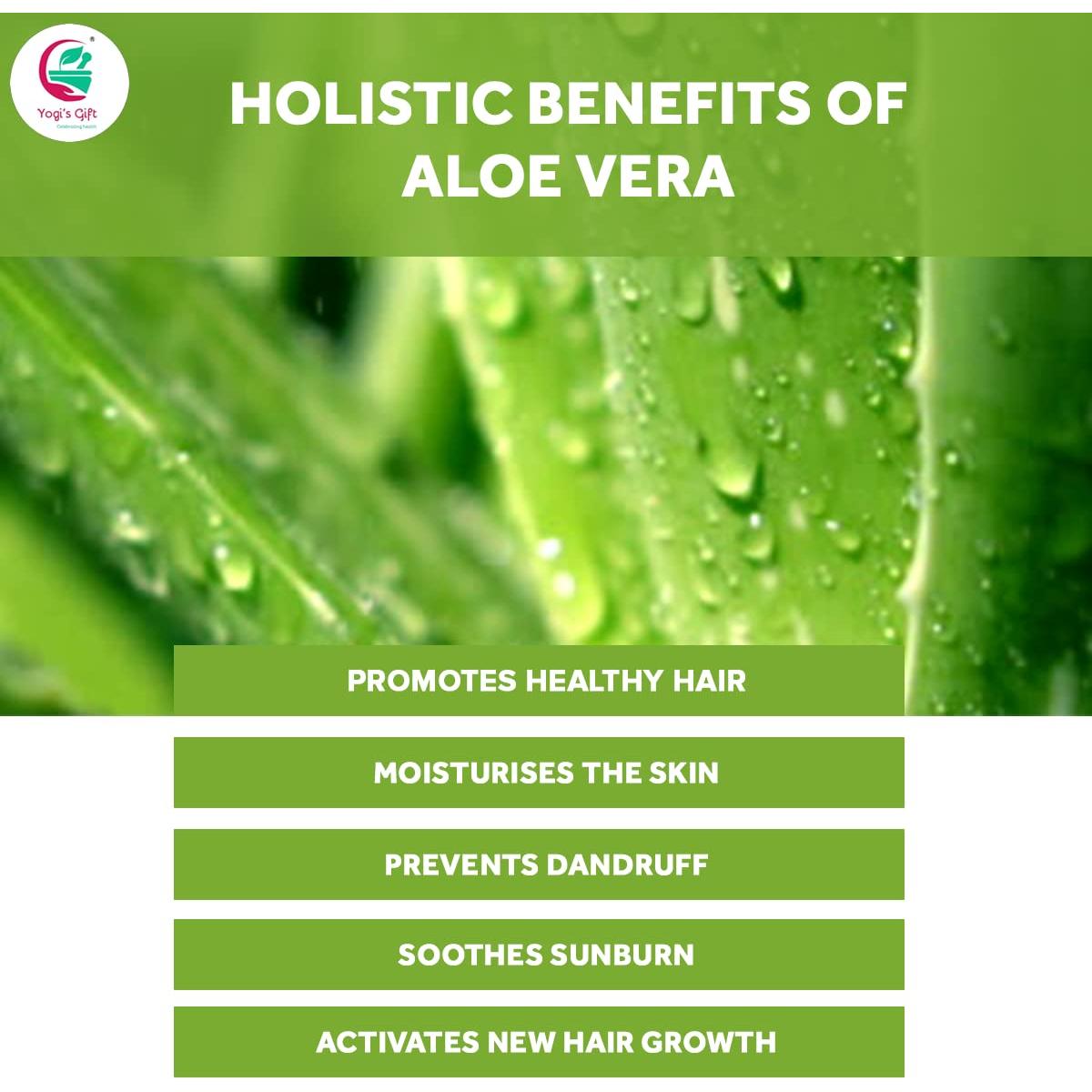 Polvo de Aloe Vera 226 g Yogi's Gift - Hidratante Facial y Capilar