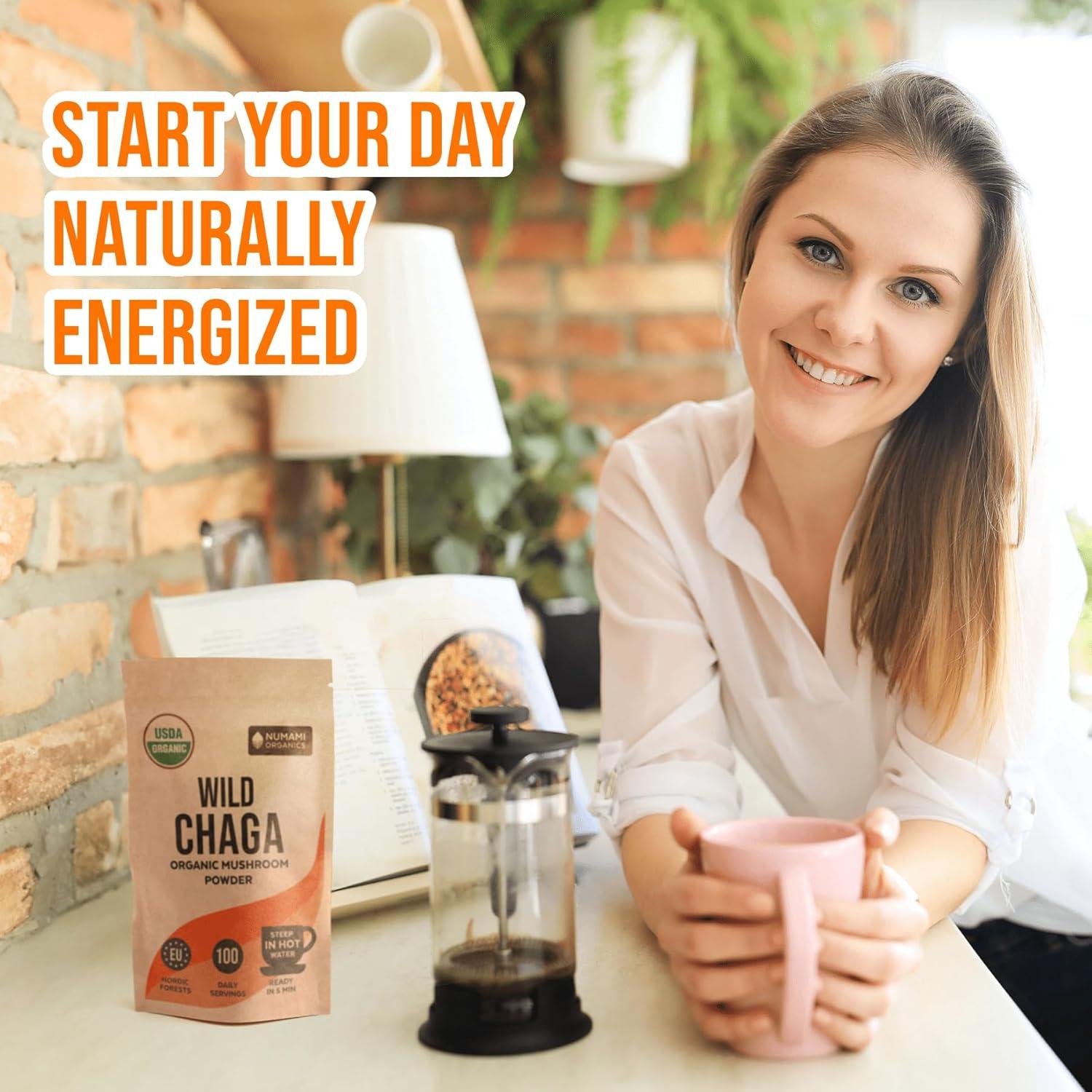 Polvo de Champiñones Chaga Orgánico 100g - Energía y Inmunidad