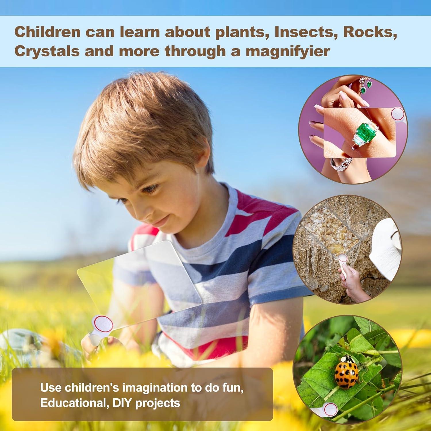 Lupa de Mano 5X Seis Temporadas con Lente Fresnel Gris