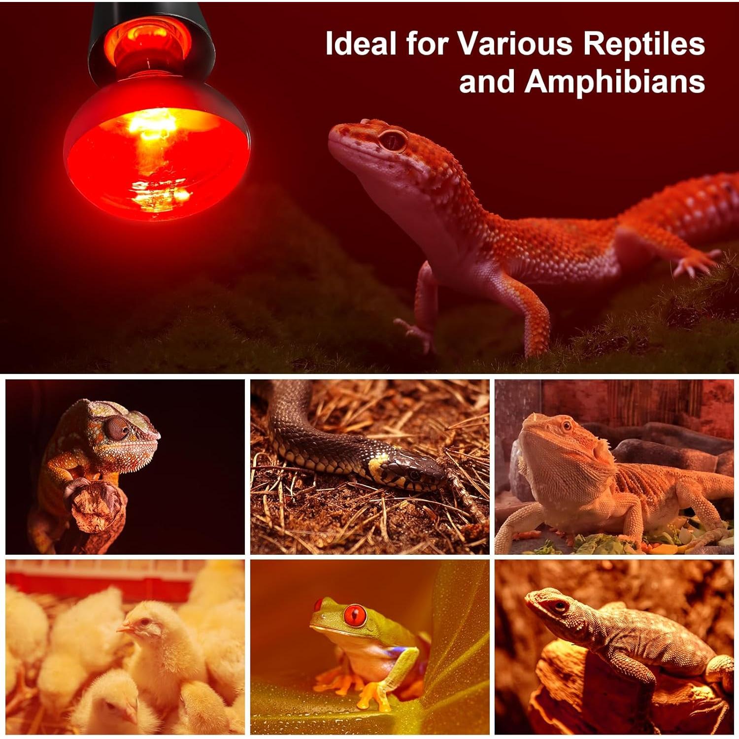 Bombillas Infrarrojas de Calor 100W MIXJOY - Paquete de 2 para Reptiles