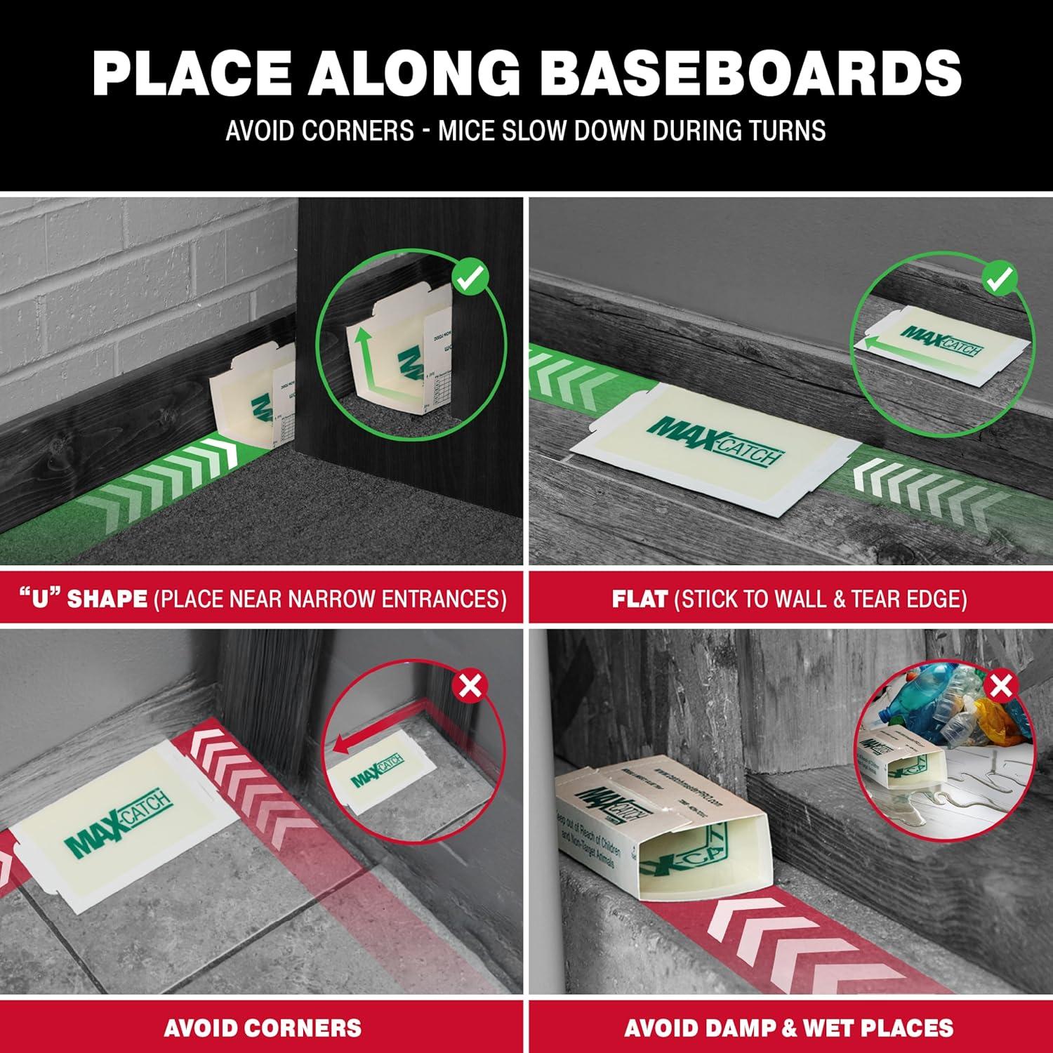 Trampa de Pegamento Catchmaster 72 Unidades para Ratones e Insectos