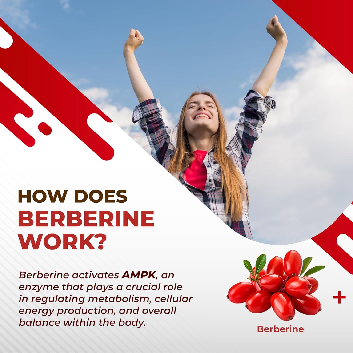 Suplemento de Berberina 150 Cápsulas NURAFUSE 14 Ingredientes Naturales