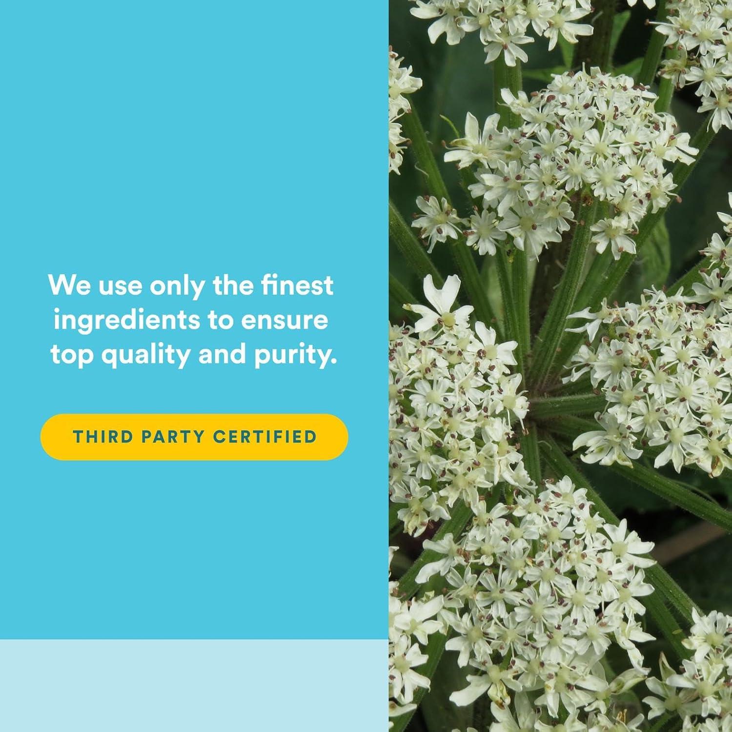 Natural Factors MenoSense 90 Veg-Cápsulas para Menopausia