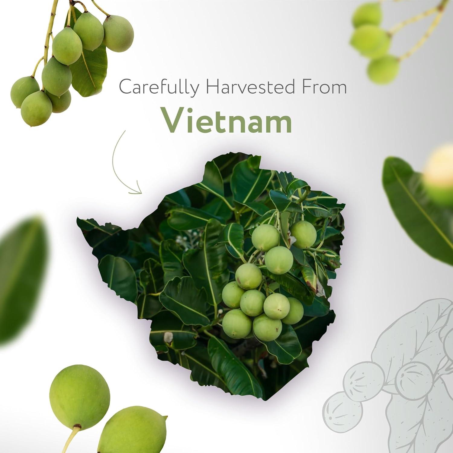 Aceite de Tamanu Orgánico HBNO 120ml Prensado en Frío