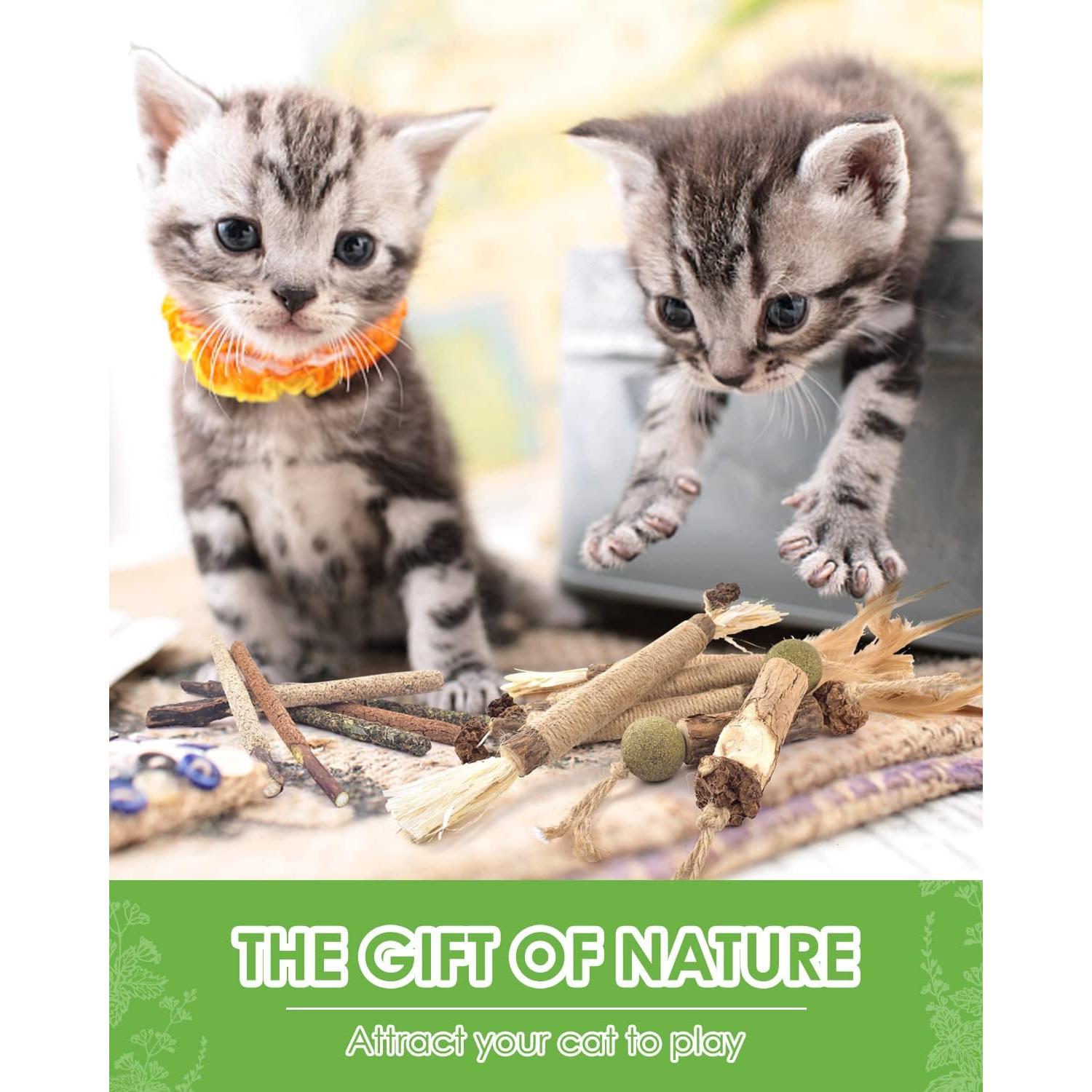 TINDTOP Palos Masticables de Silvervine para Gatos - Paquete de 12