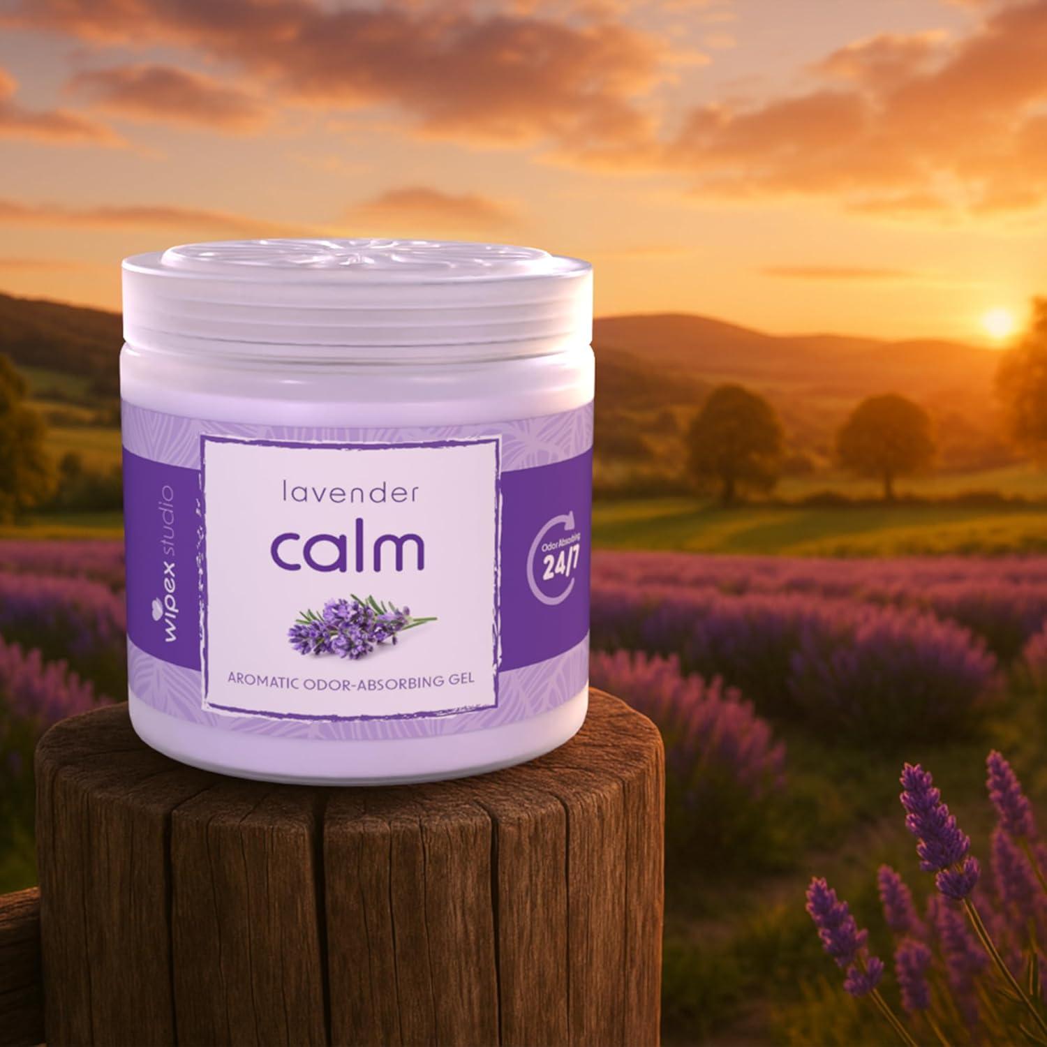 Gel Absorbente de Olores Wipex Lavanda 425 g - Eliminador Efectivo