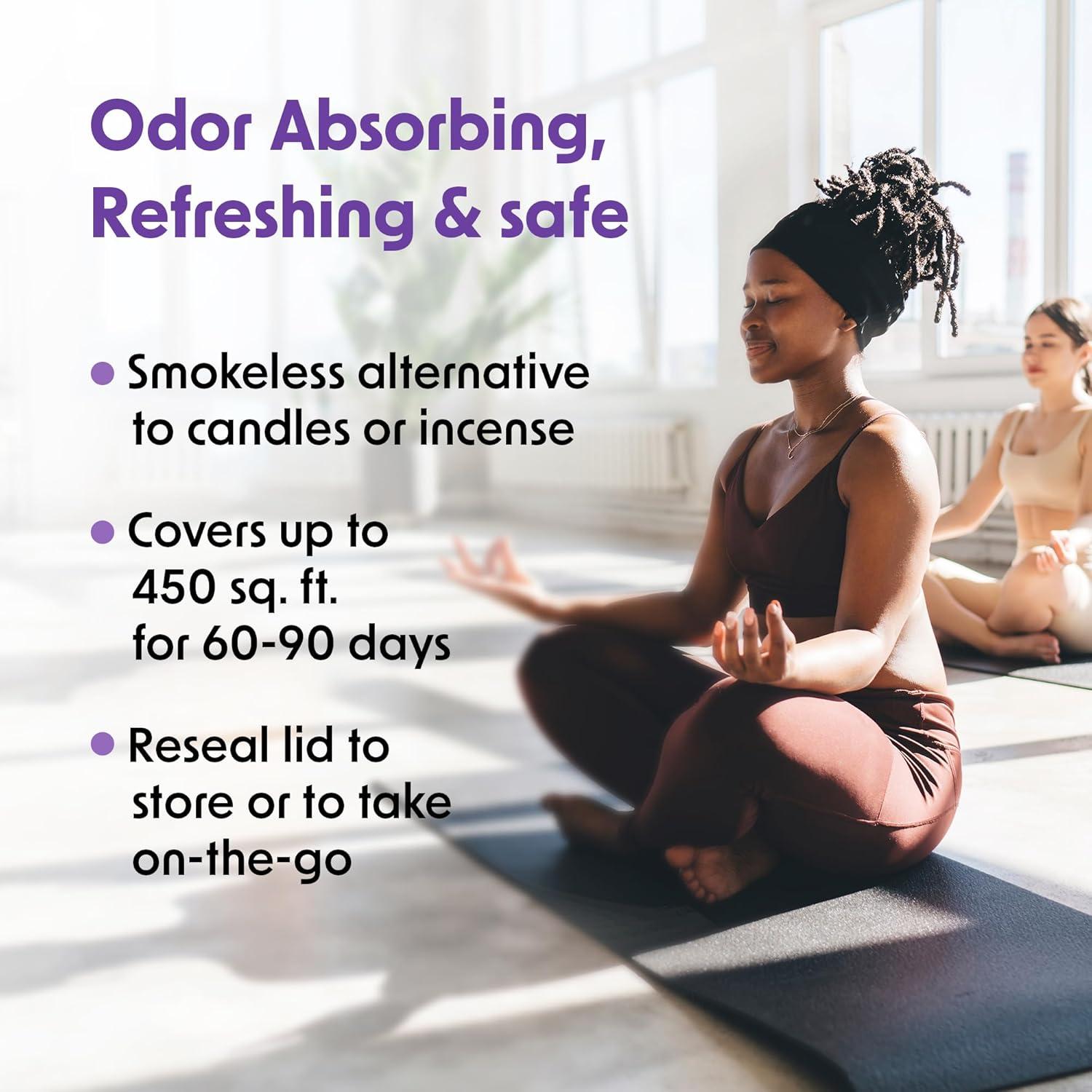 Gel Absorbente de Olores Wipex Lavanda 425 g - Eliminador Efectivo