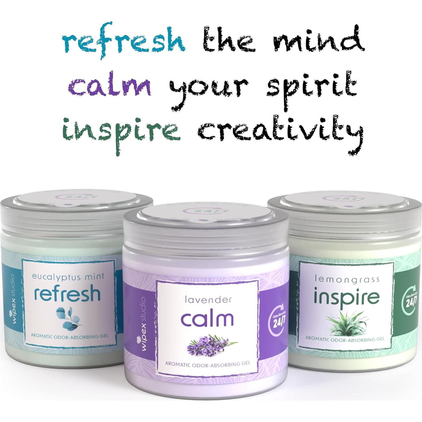 Gel Absorbente de Olores Wipex Lavanda 425 g - Eliminador Efectivo