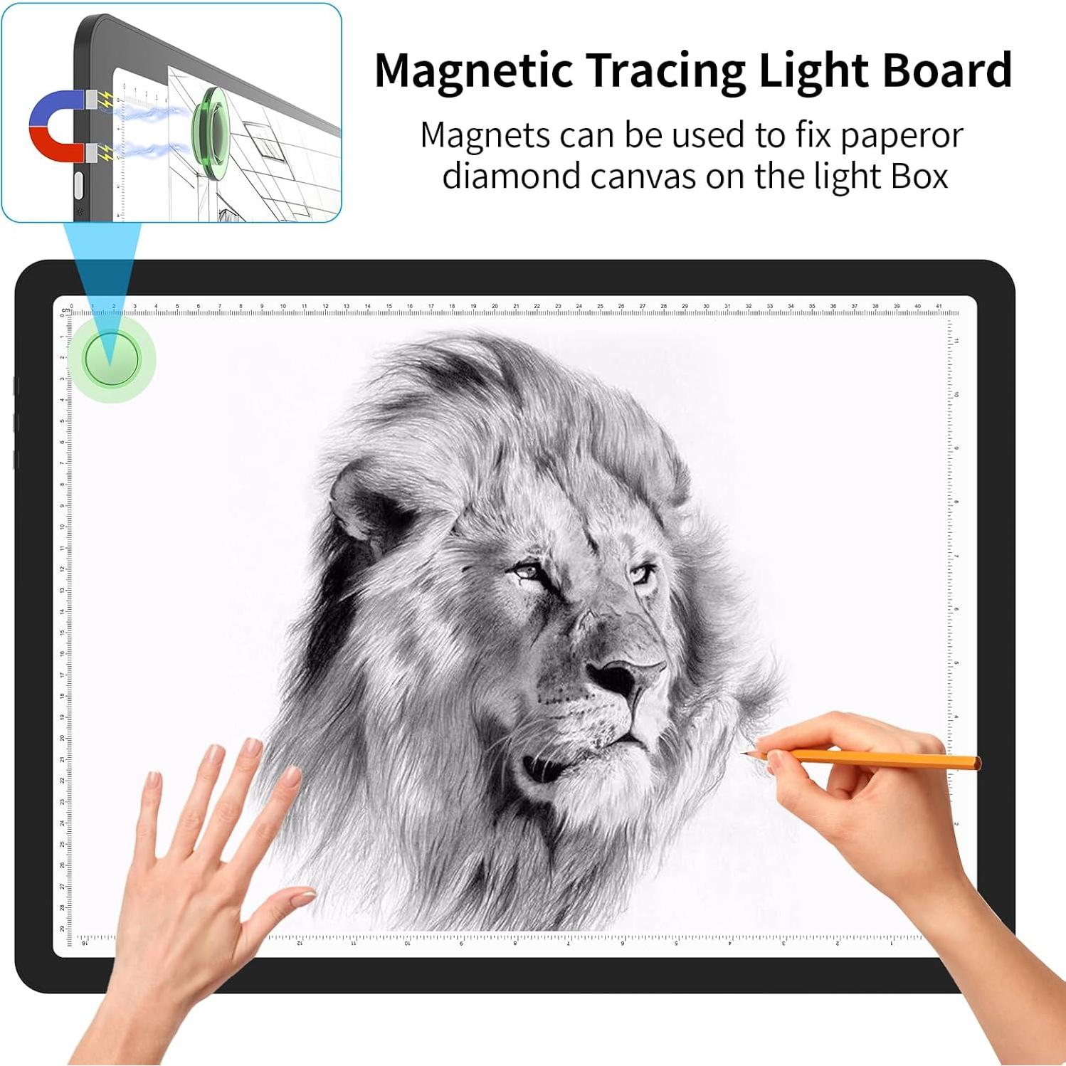 Almohadilla de Luz A3 Phylosal con 3 Modos y 6 Brillos