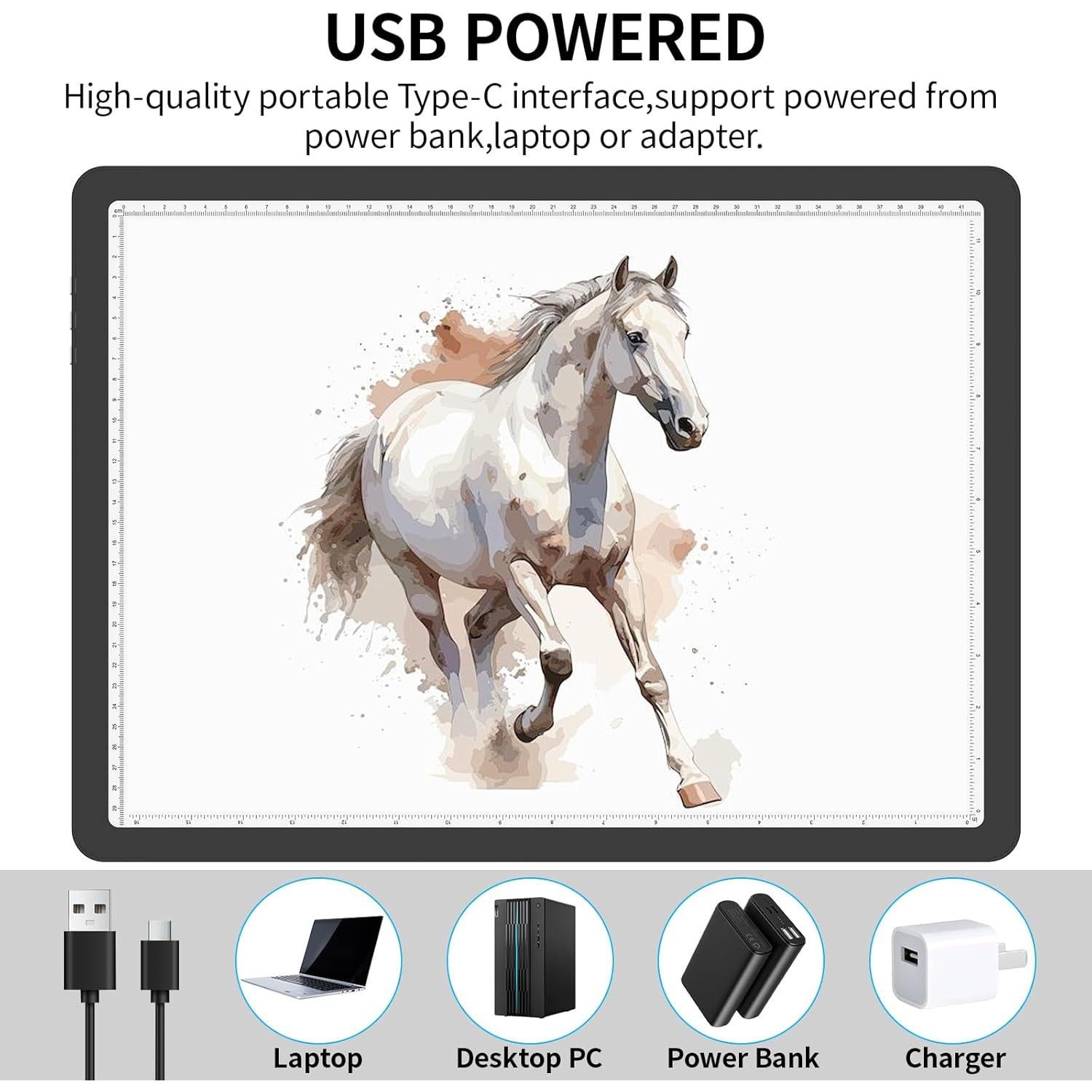 Almohadilla de Luz A3 Phylosal con 3 Modos y 6 Brillos