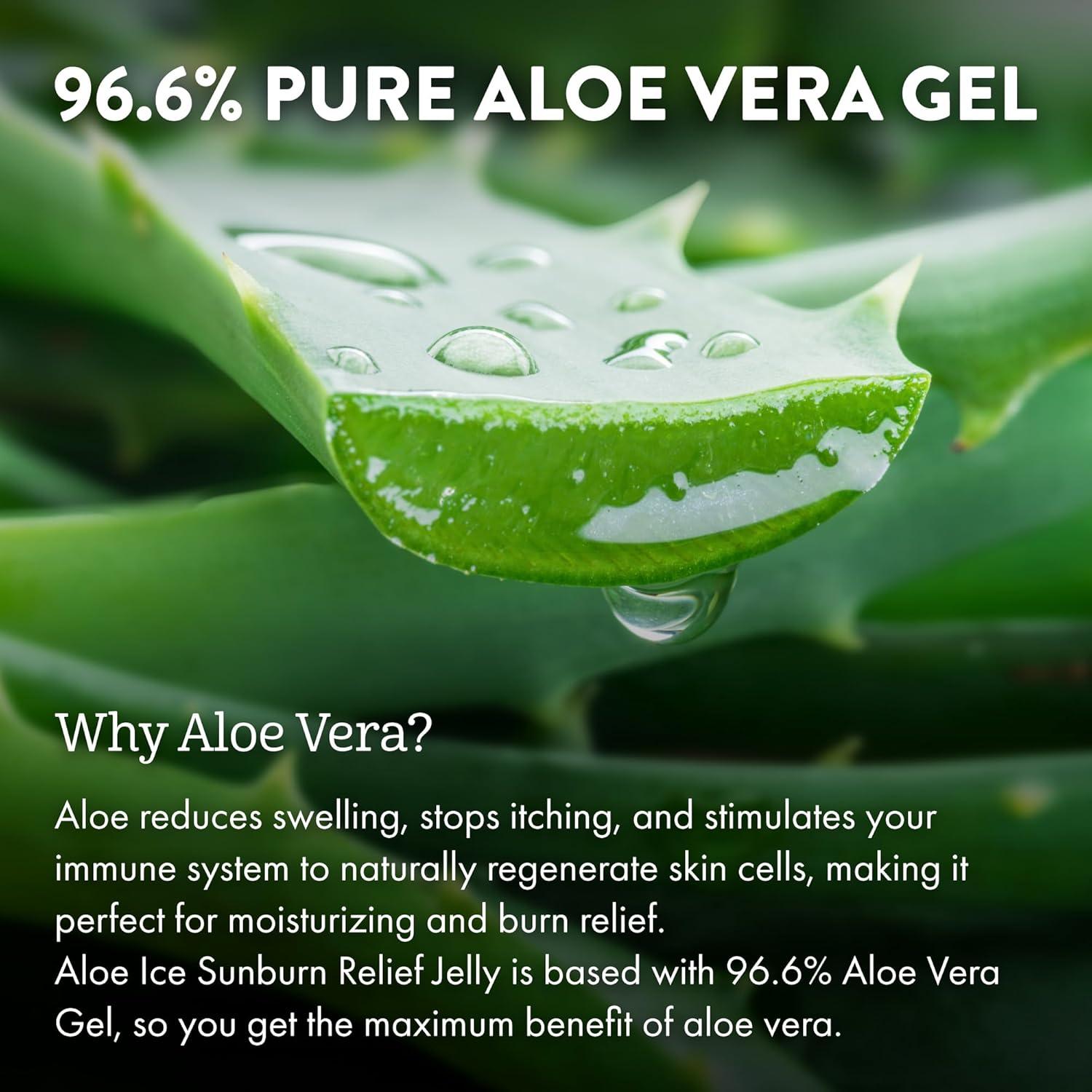Gel de Alivio de Quemaduras Solares Aloe Up 113.4 g - Orgánico