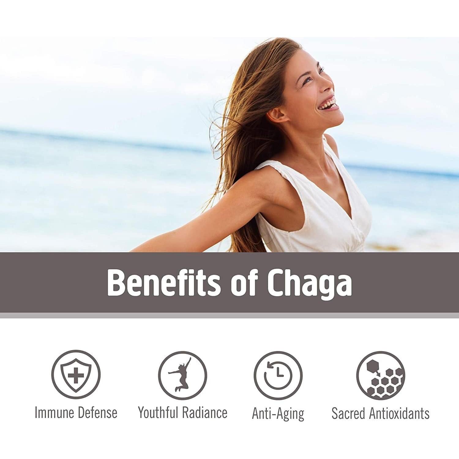 Cápsulas de Hongo Chaga Om Superfood - 90 Unidades, Antioxidantes