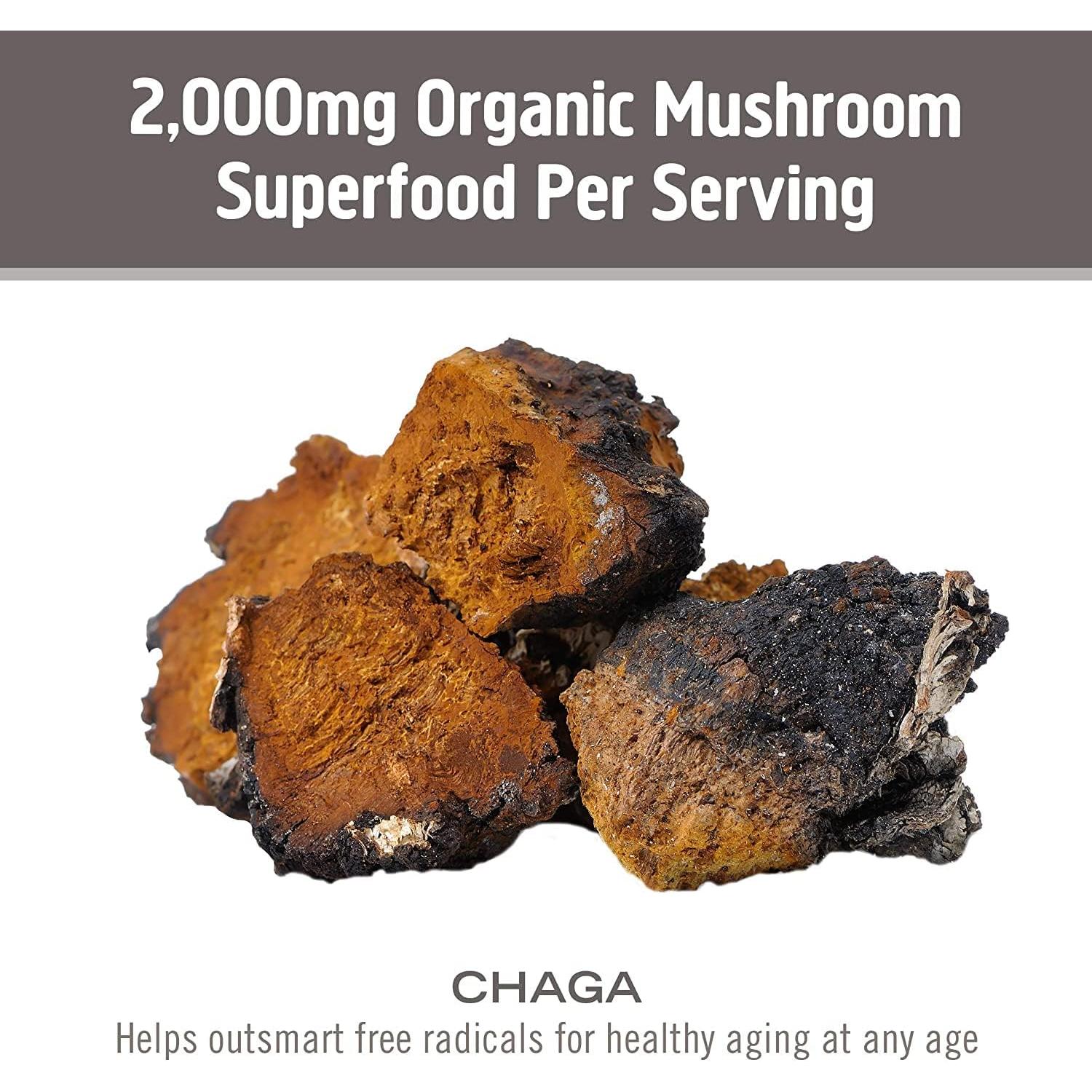Cápsulas de Hongo Chaga Om Superfood - 90 Unidades, Antioxidantes