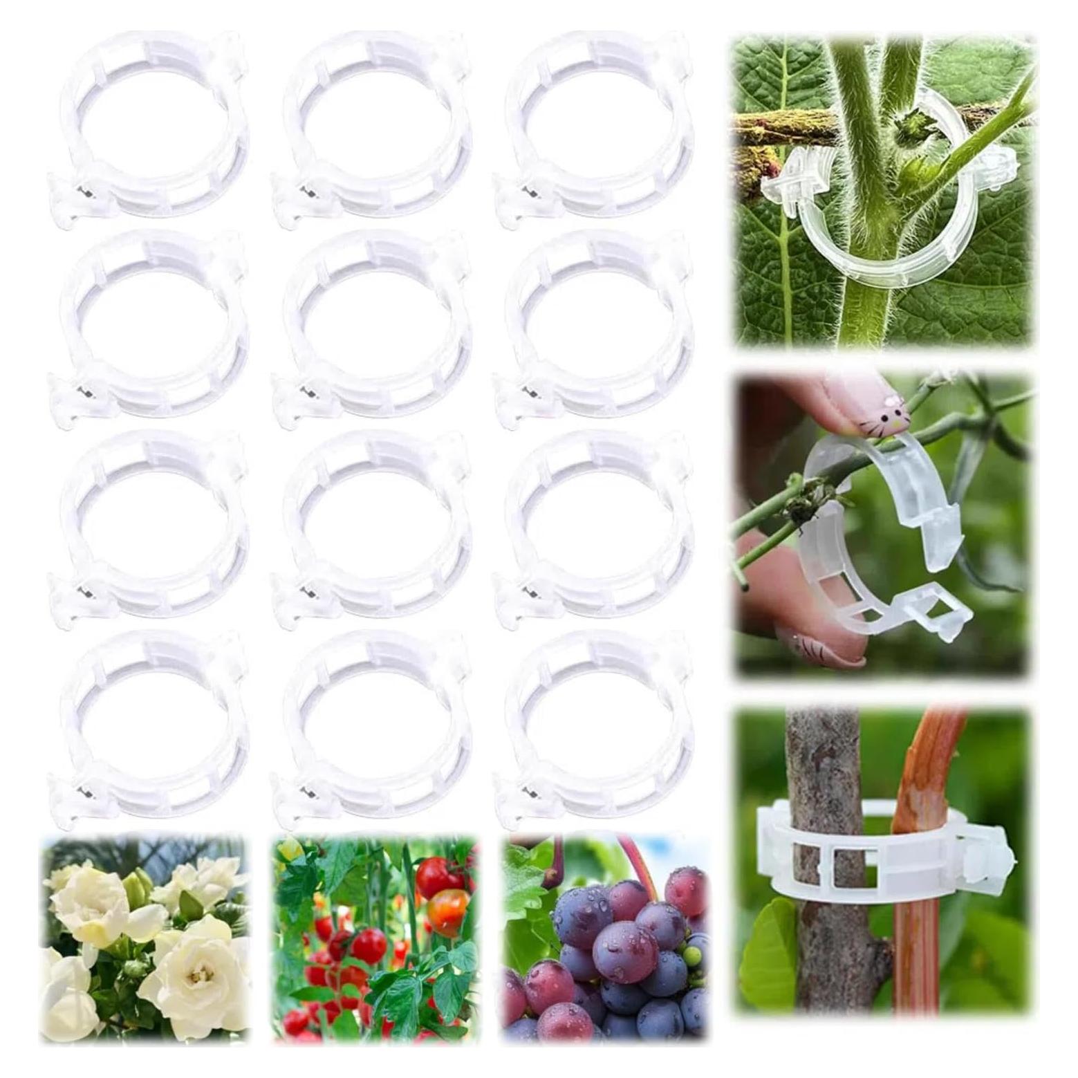 100 Clips de Soporte para Plantas Trepadoras Koujut Blanco