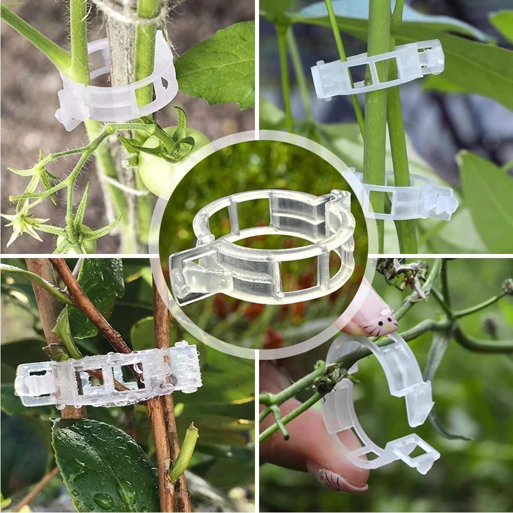 100 Clips de Soporte para Plantas Trepadoras Koujut Blanco